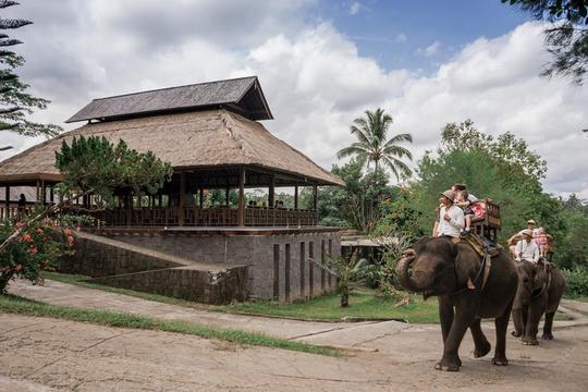 Elephant Trekking Beside Ayung River in Bali