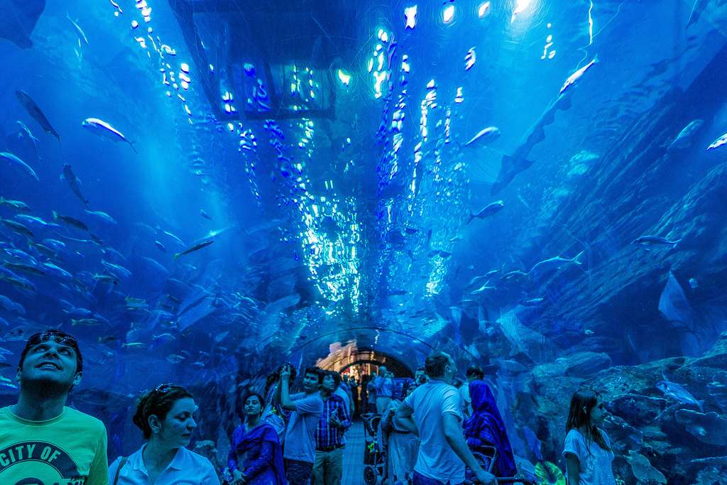 Visit Dubai Aquarium & Underwater Zoo