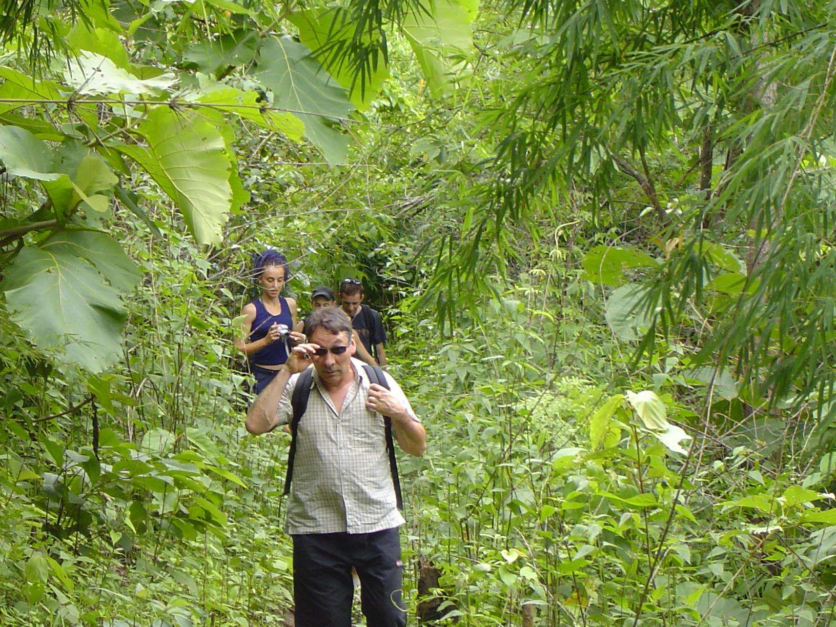 Trekking in Mae Hong Son