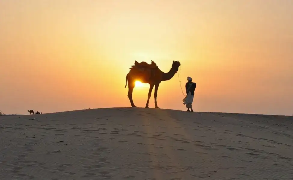 Jaipur to Jaisalmer Sightseeing Tour- Flat 29% off