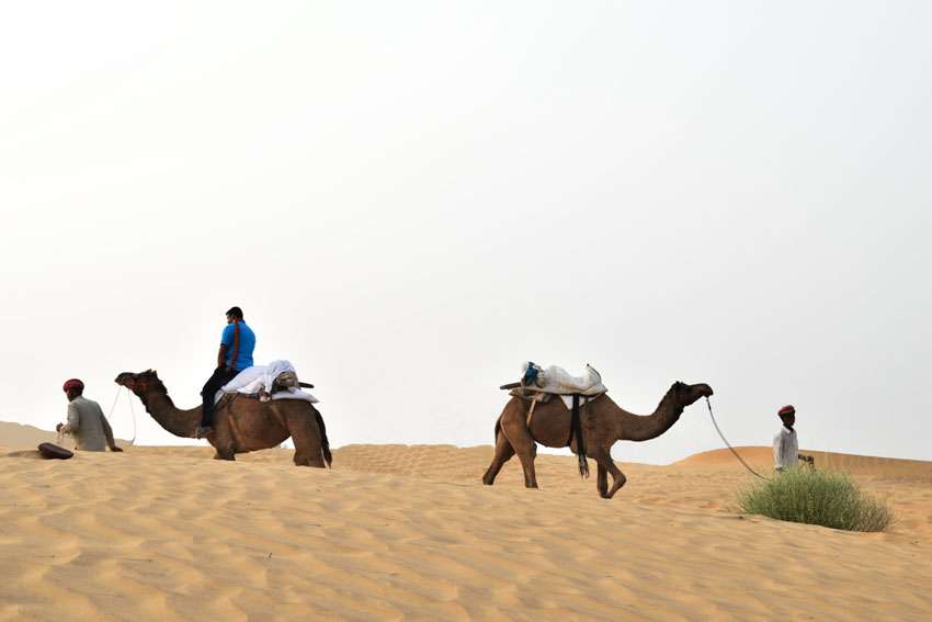 Camel Safari at Osian in Rajasthan