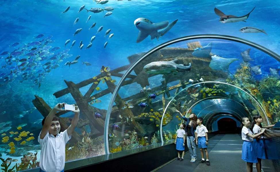 S E a Aquarium Singapore Tickets | Skip the Line with E-ticket