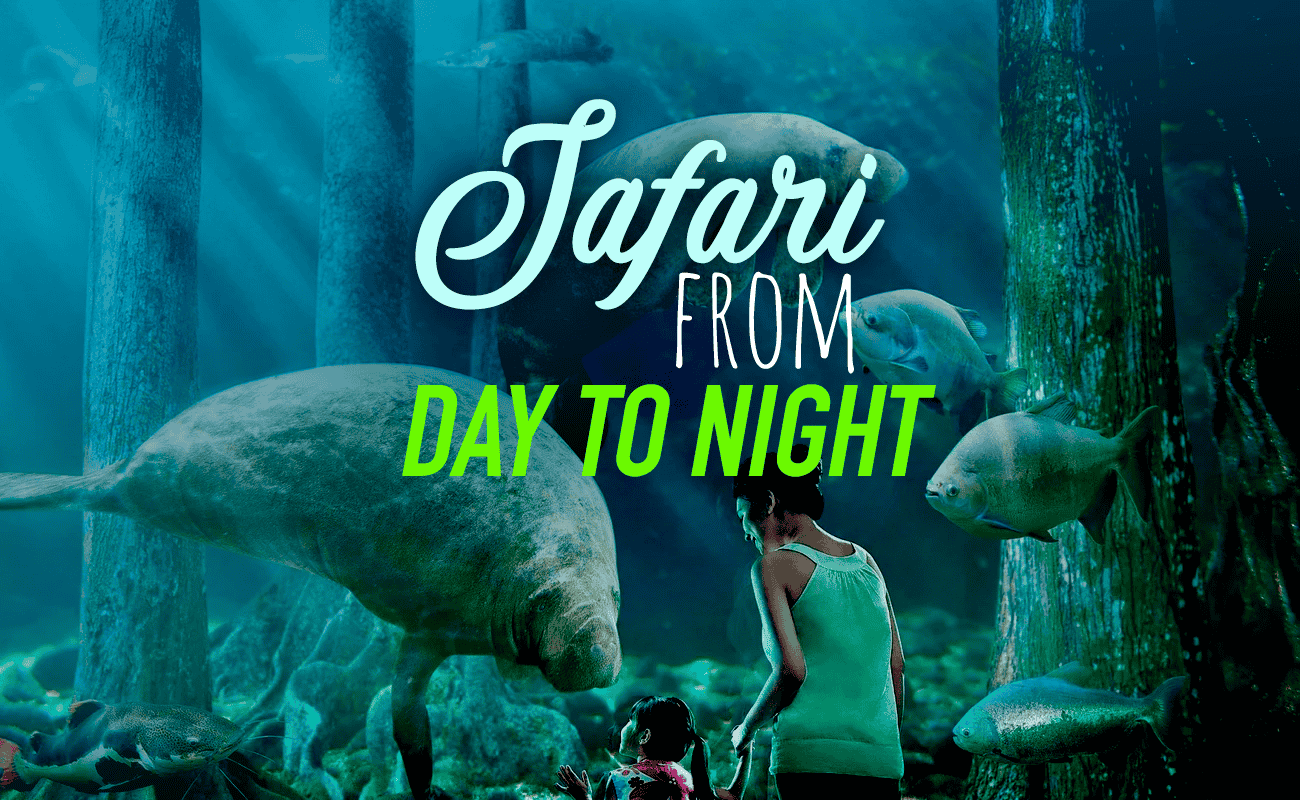 Combo: River Safari and Night Safari Tour- Flat 17% off