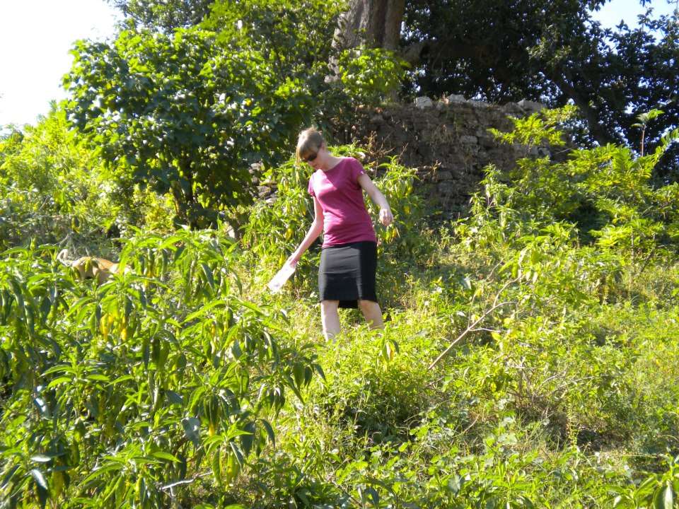Jeep Safari at Ranakpur in Rajasthan