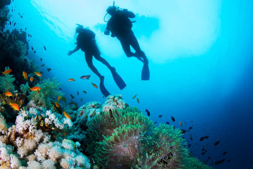  Scuba Diving (Book 2 Dives @ Cheapest Prices)