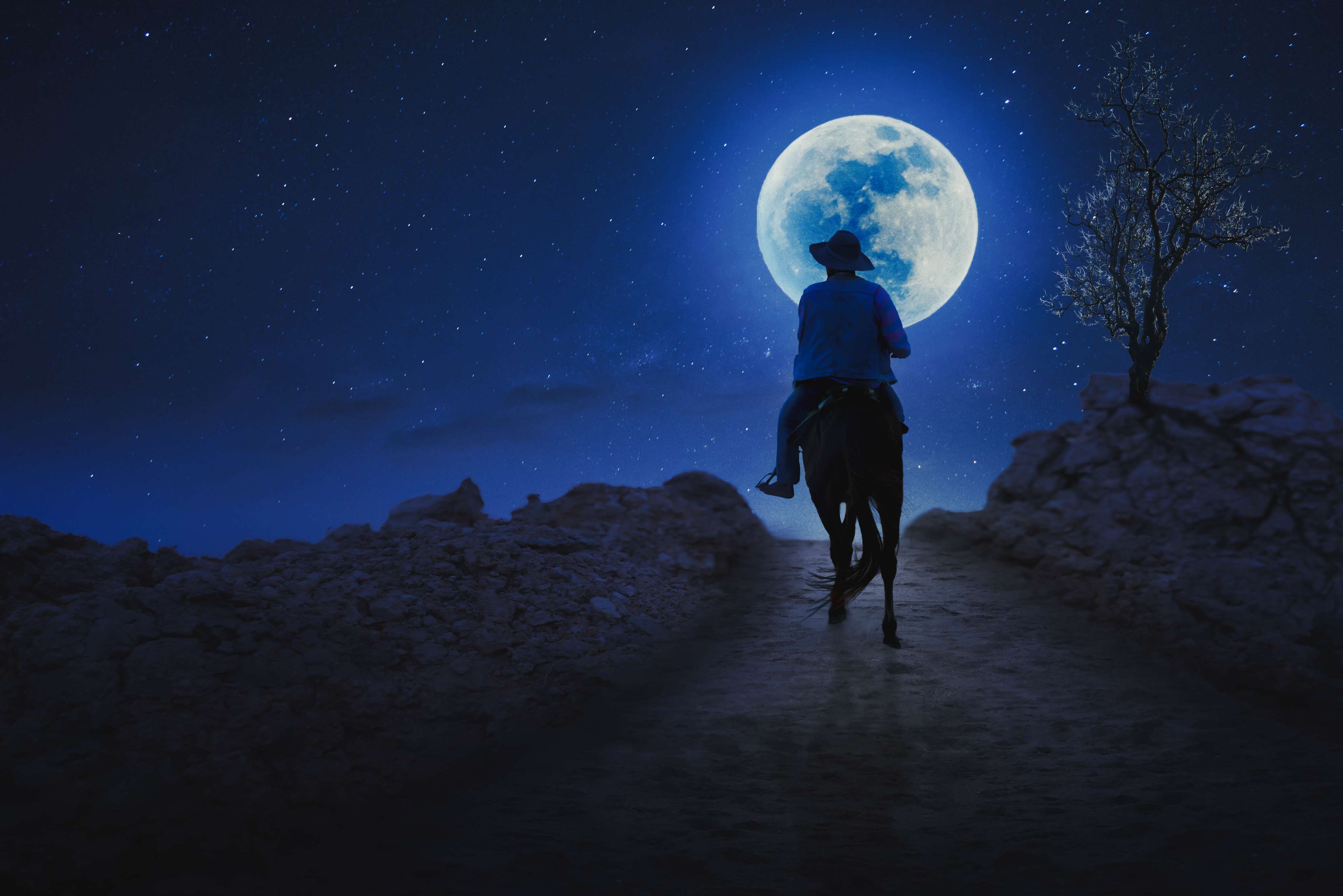 Full Moon Horseback Riding at Mushrif Park