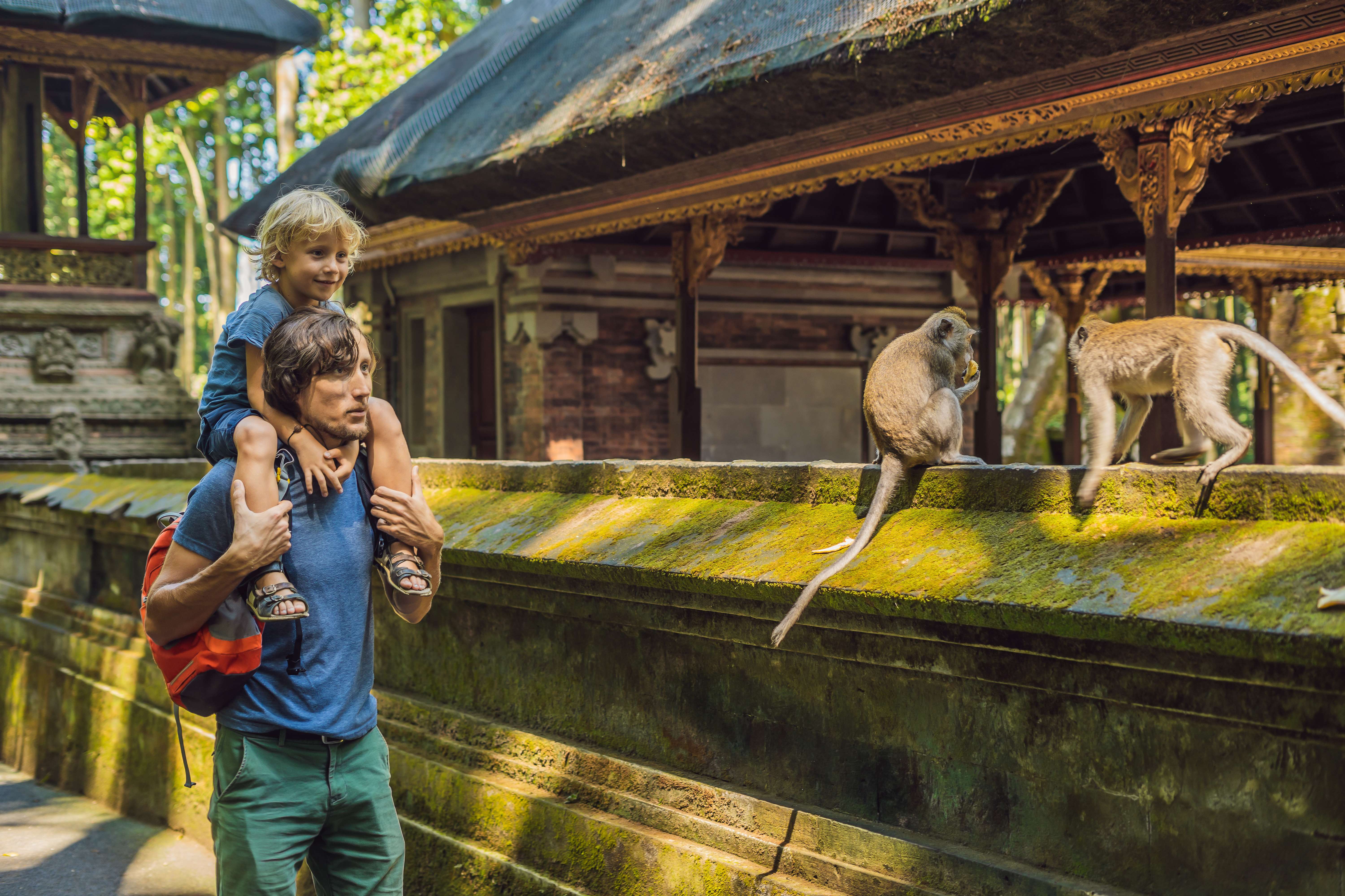 Monkey Forest and Ubud Sightseeing Tour in Bali