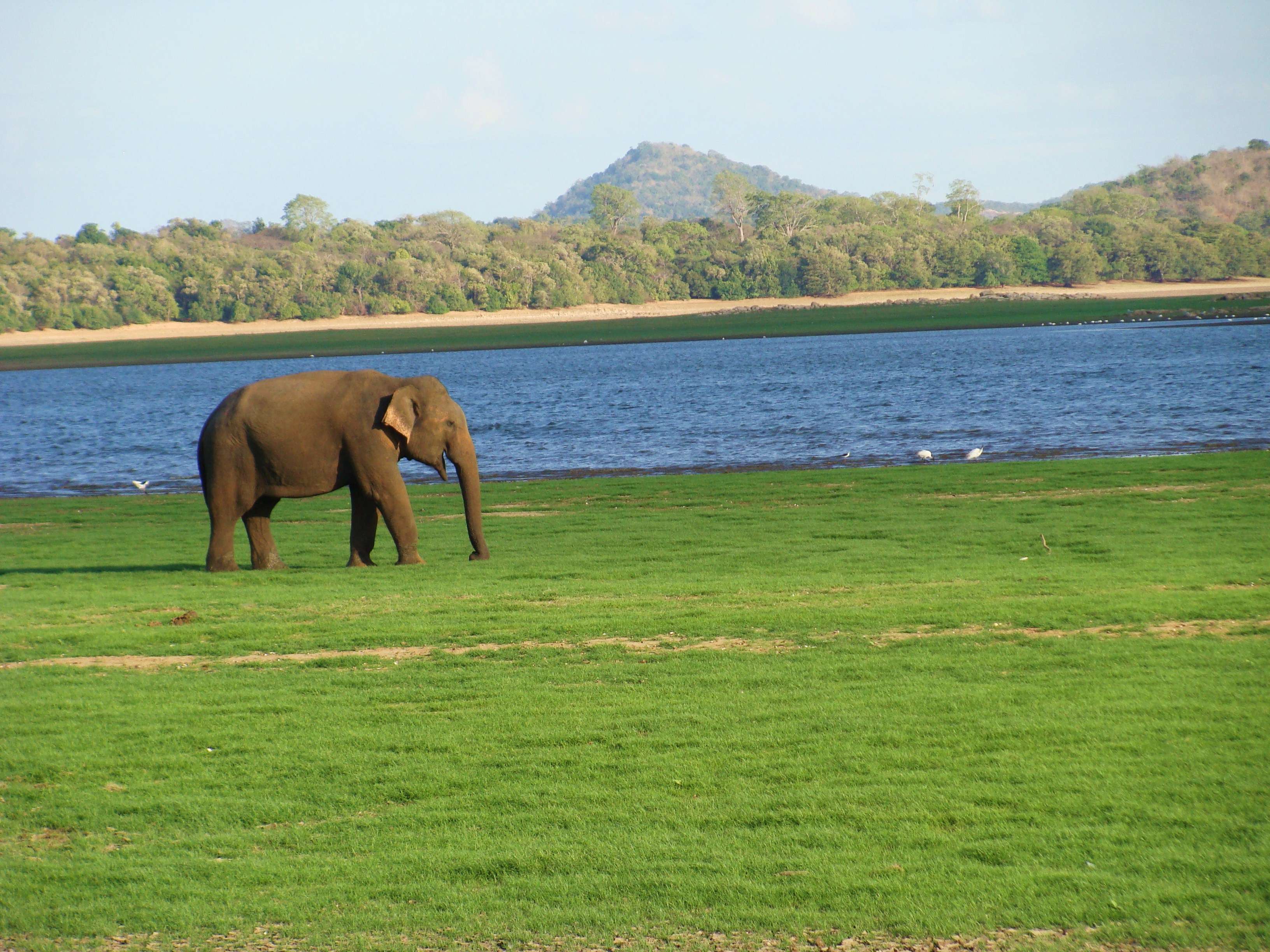 Maduru Oya National Park