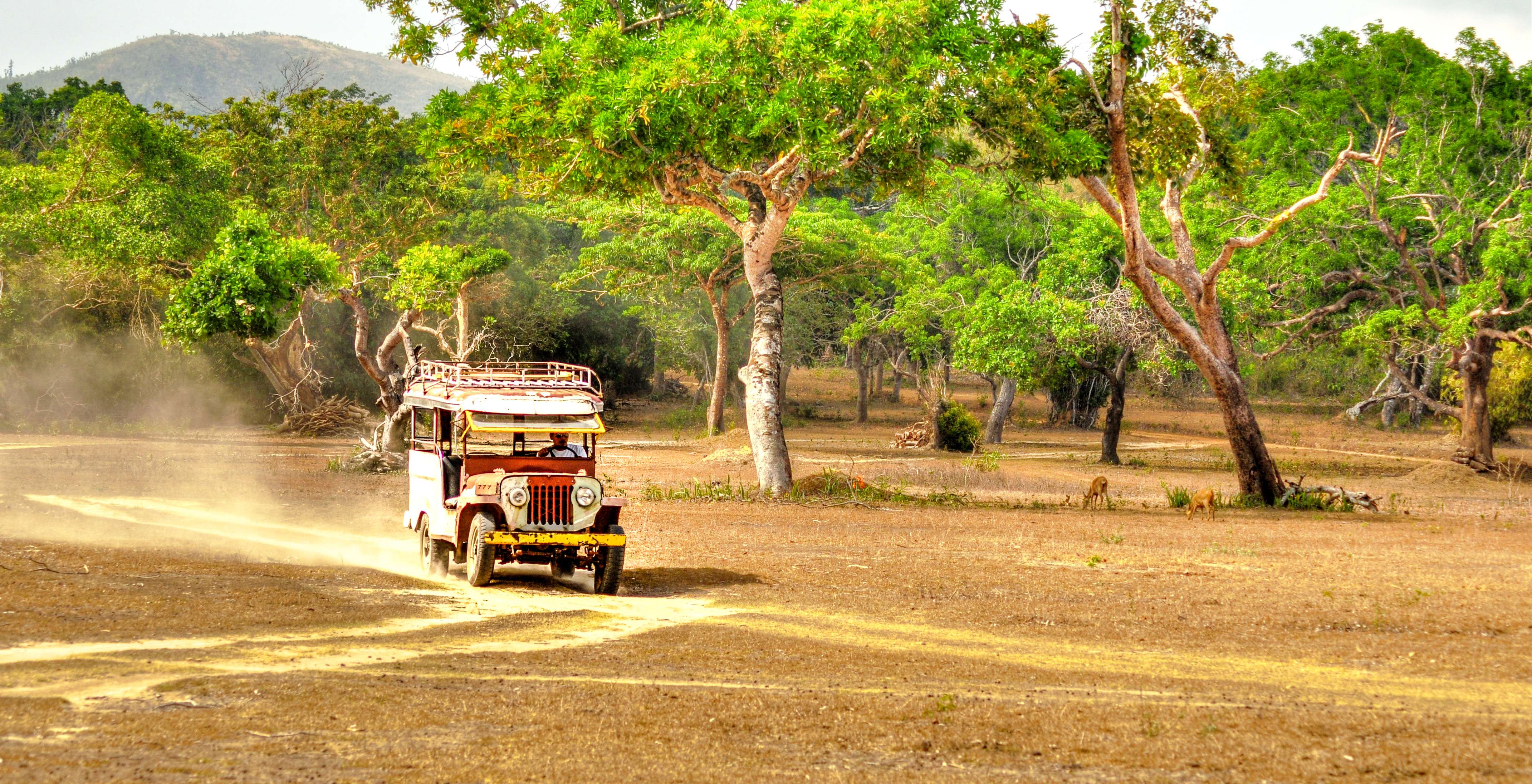 Udawalawe National Park Camping