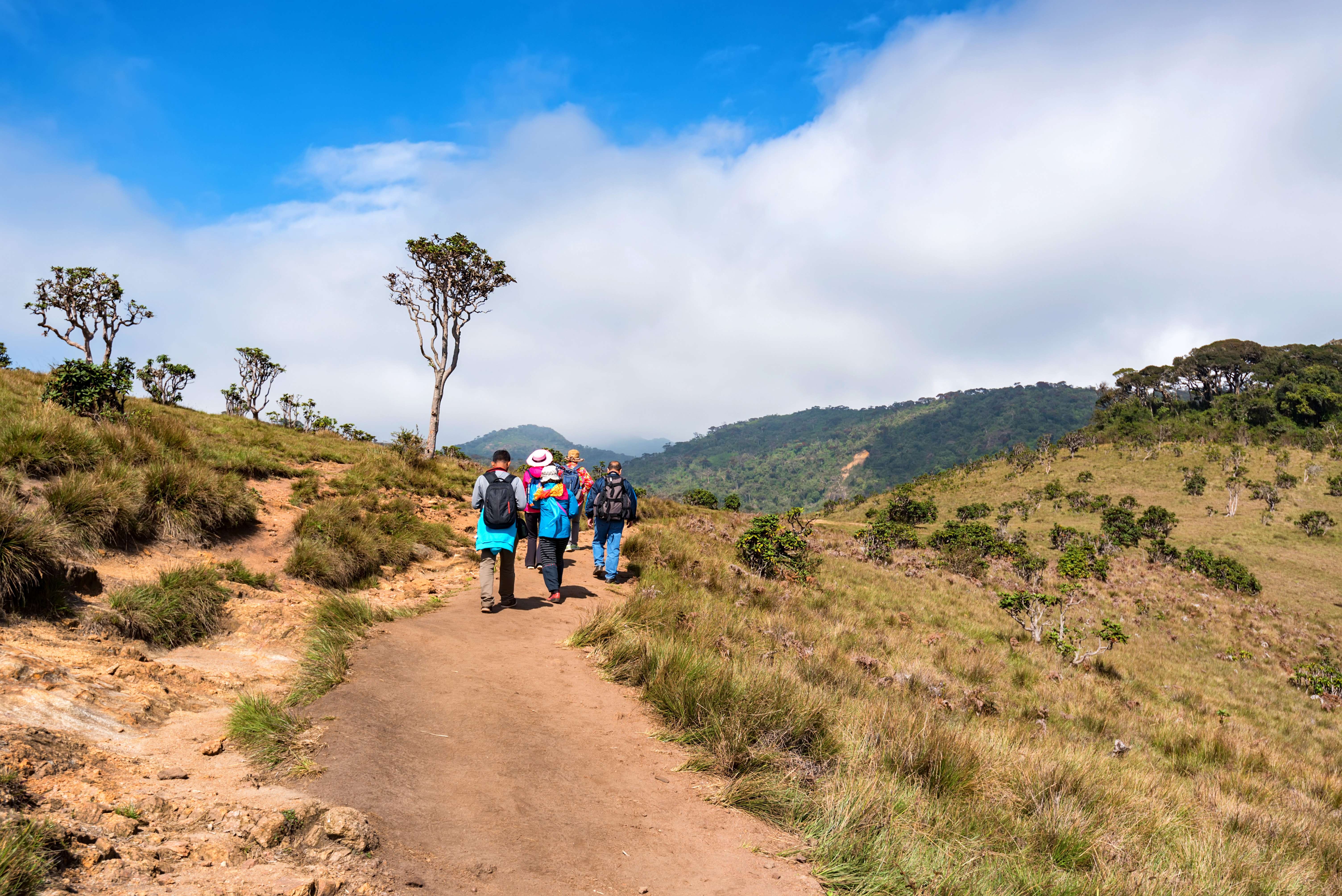 Visit Horton Plains National Park