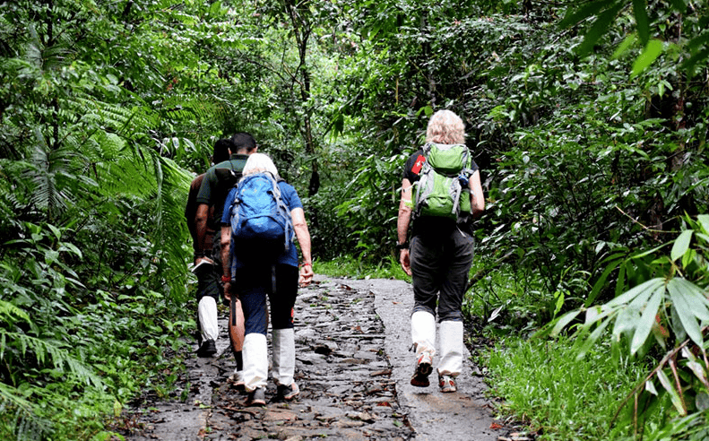 Sinharja Raniforest Trek