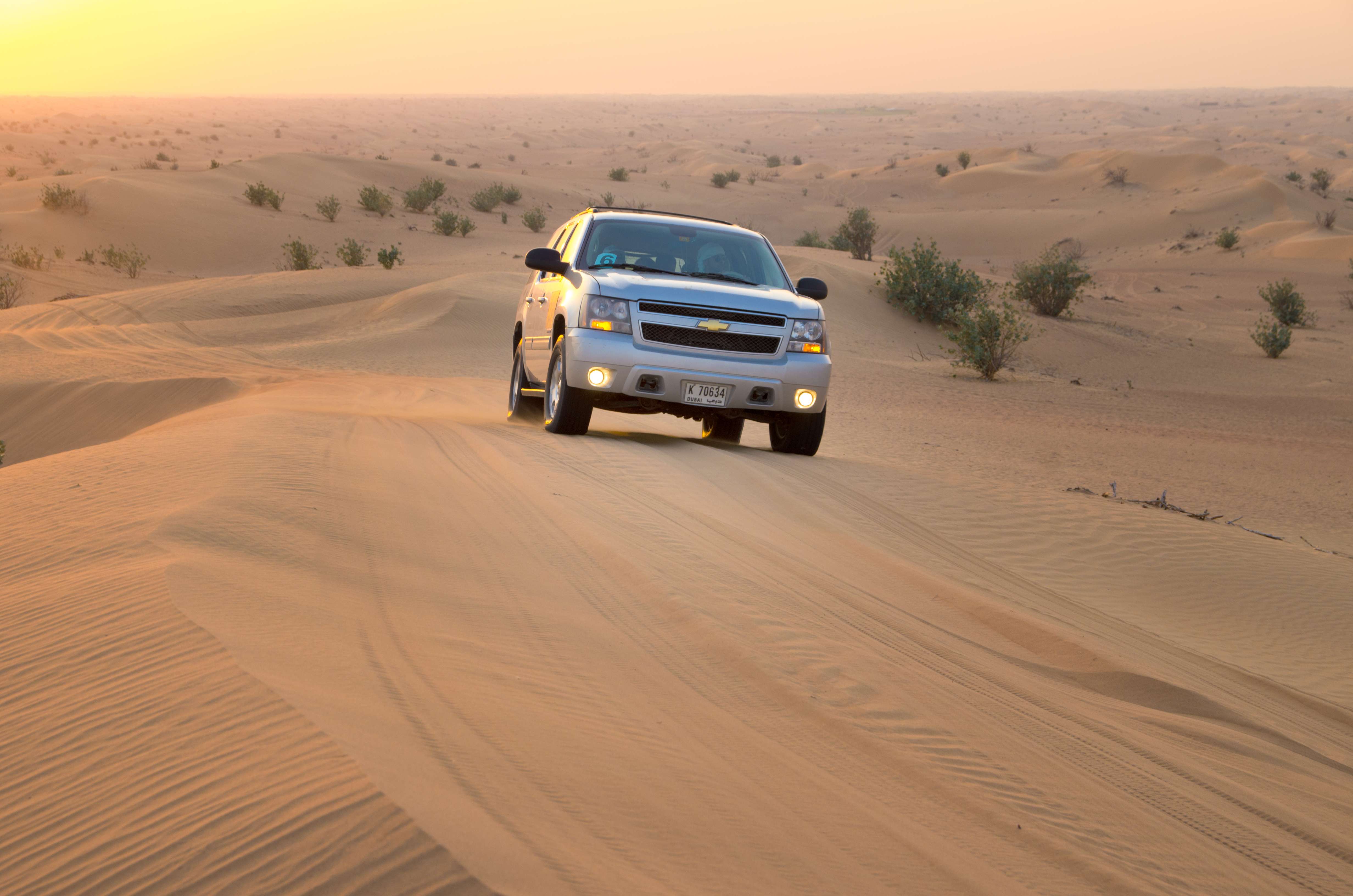 Evening Desert Safari