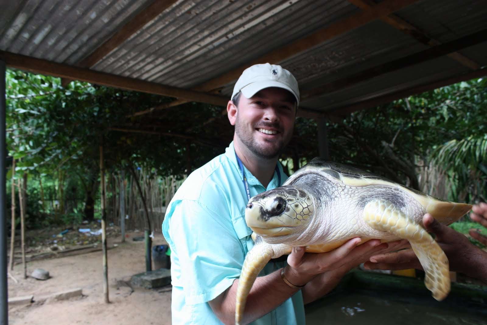 Visit a Turtle Hatchery at Bentota