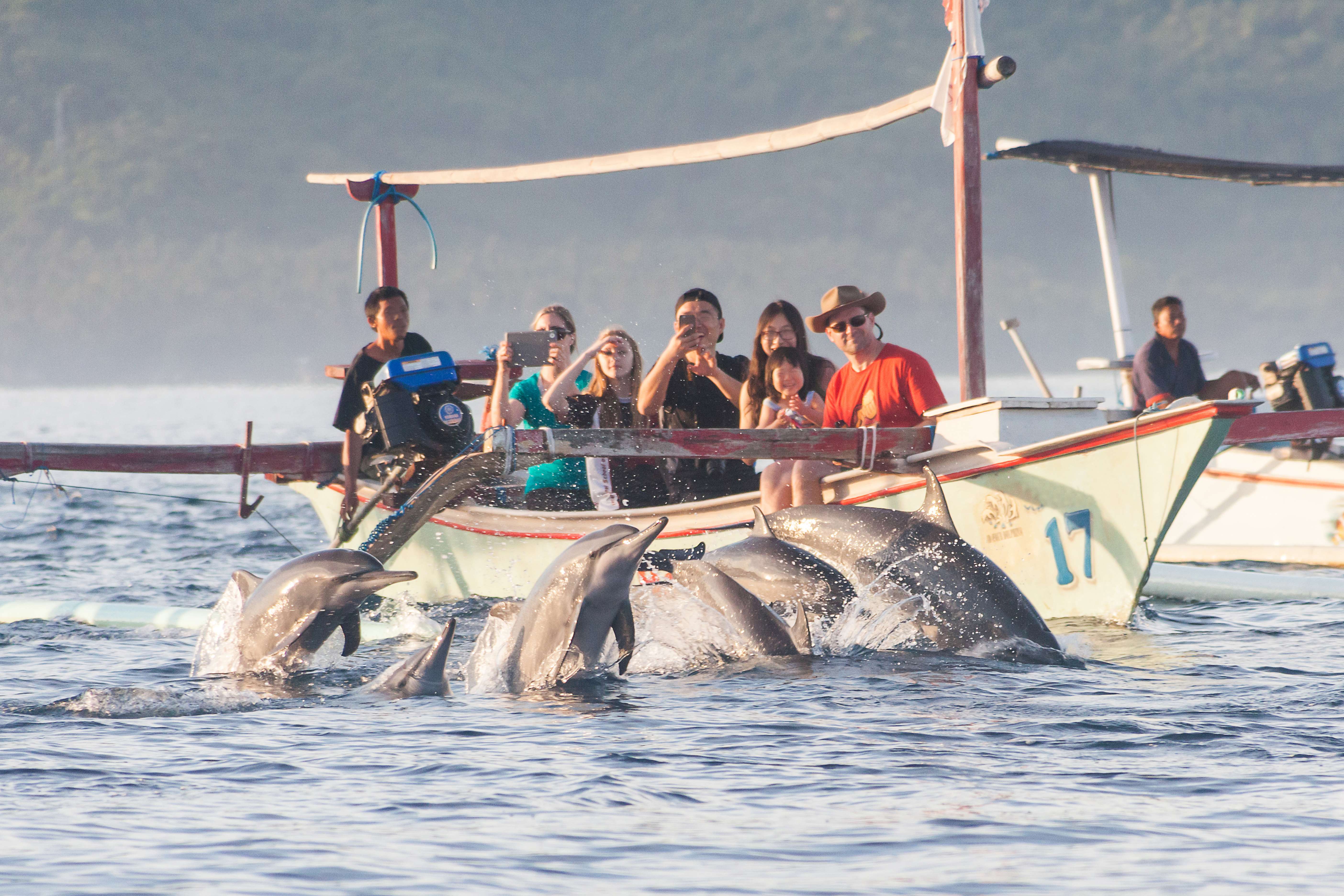 Bali Lovina Dolphin Watching and Sightseeing Tour