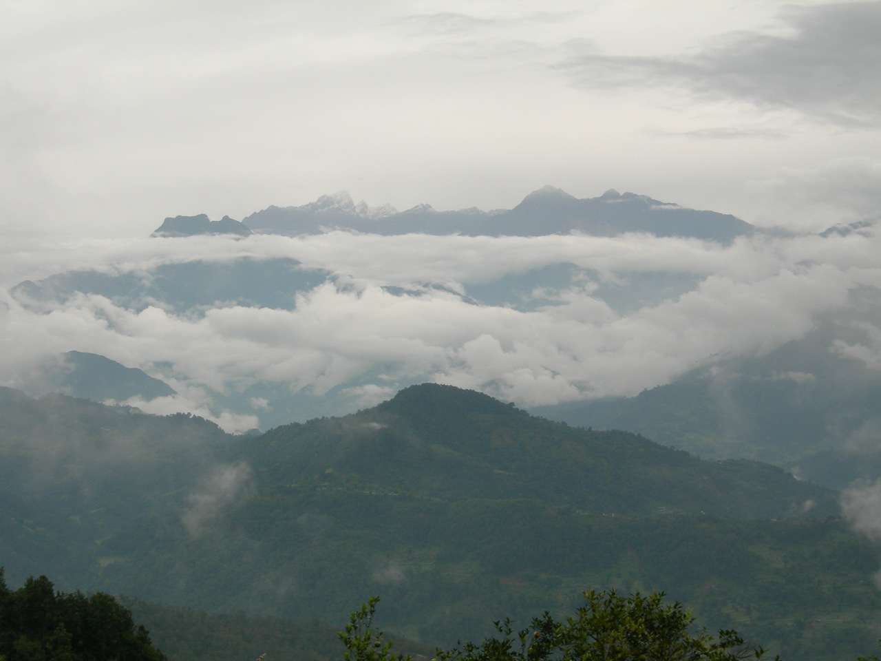 Forests of Tinjure, Milke and Jaljale