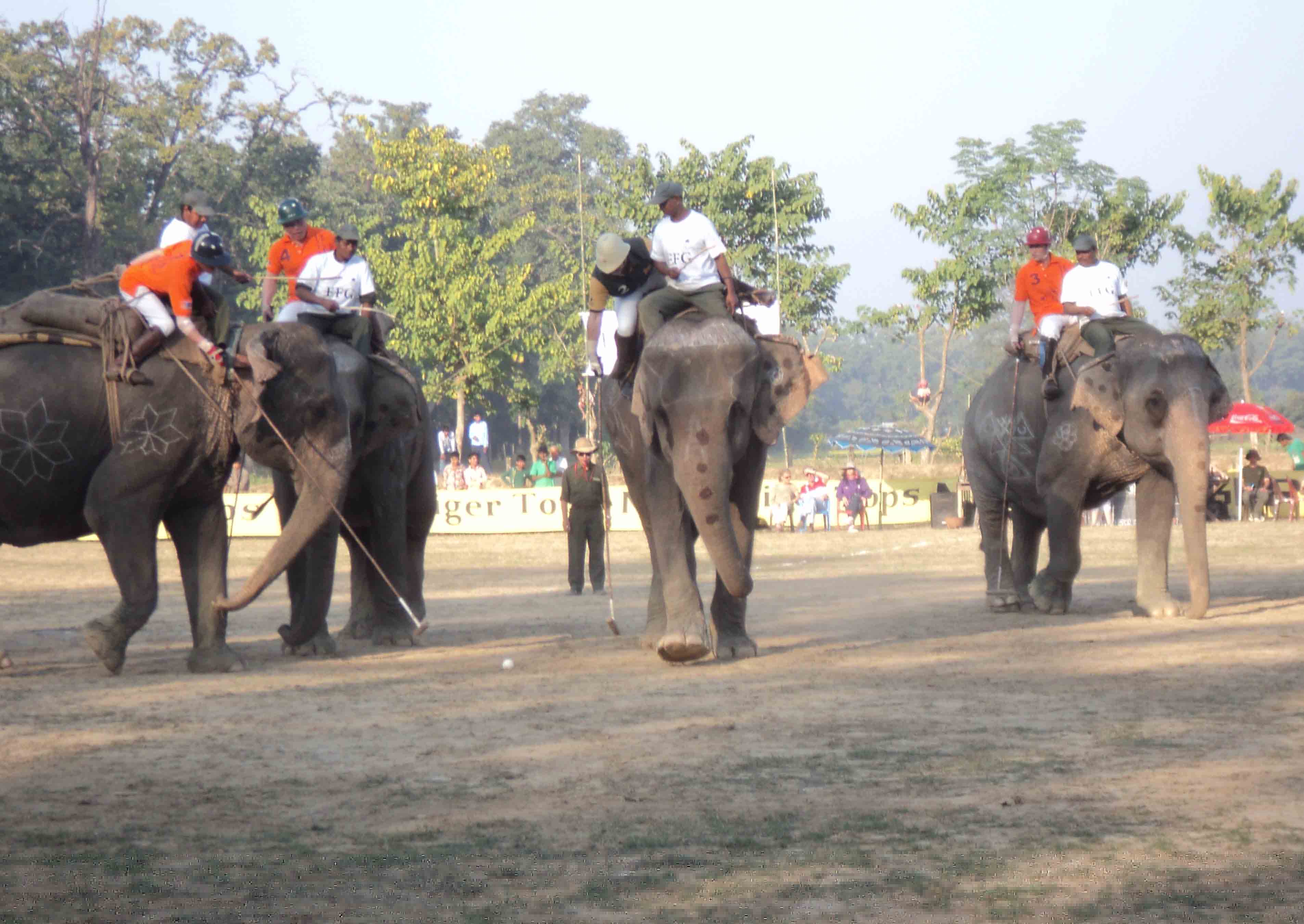 Elephant Polo