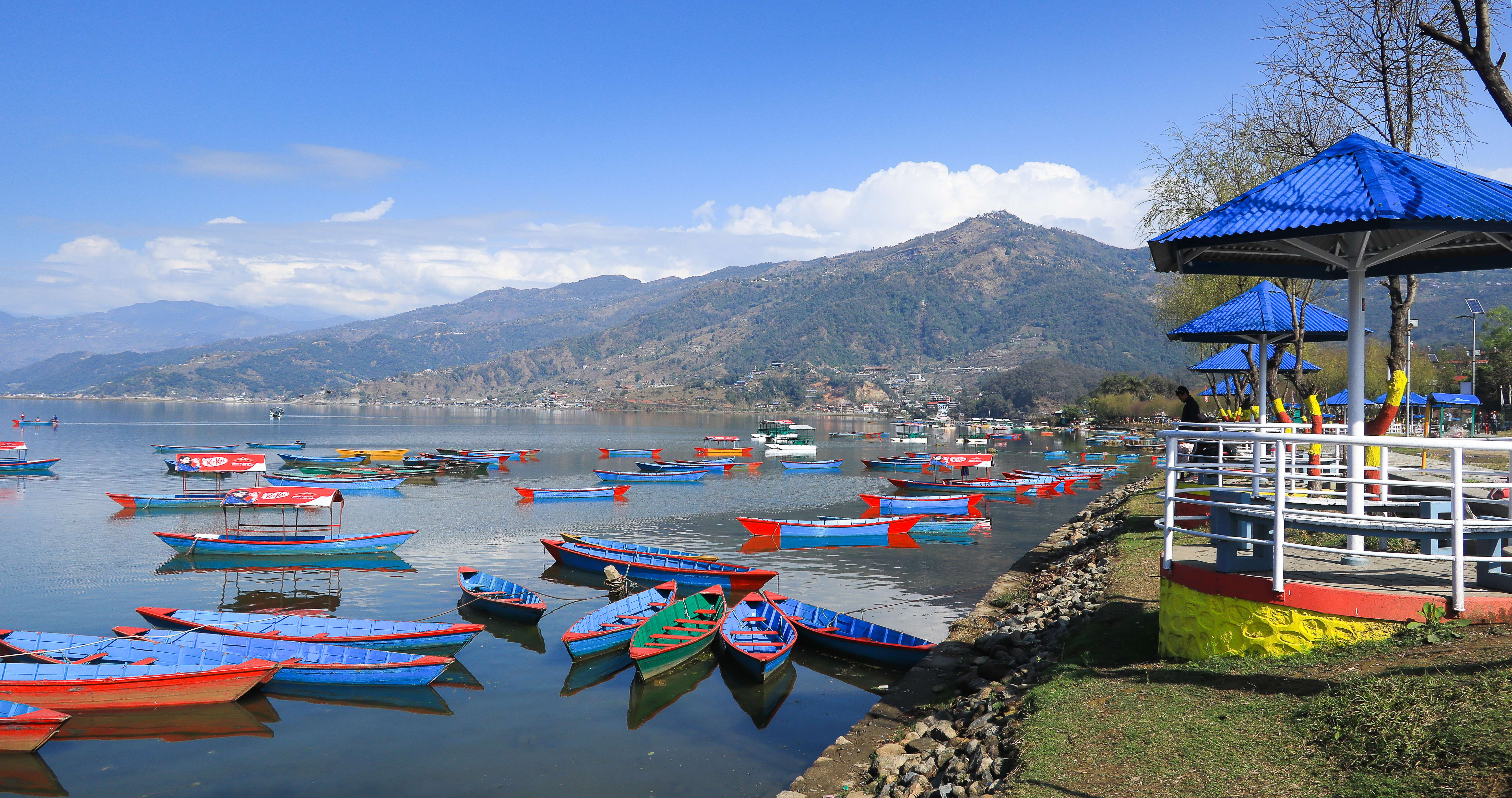Boating  in Phewa Tal Lake