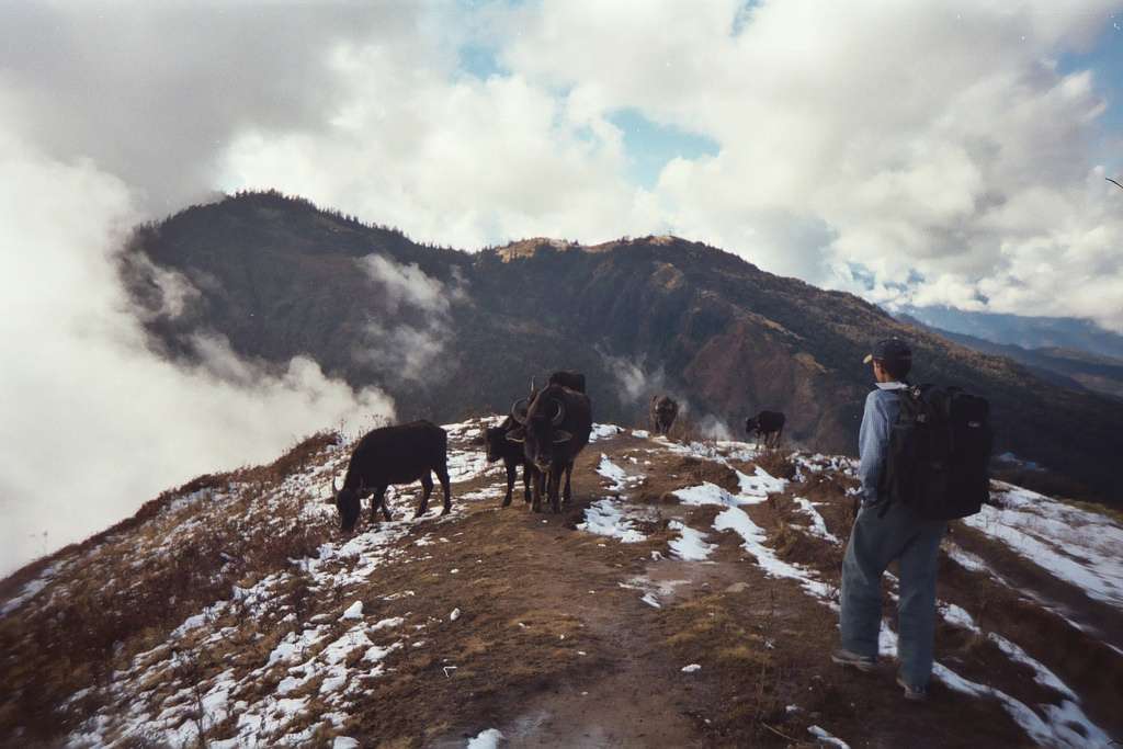 Trekking in Pokhara 