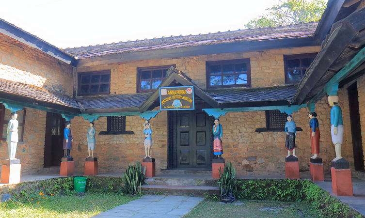 Explore Annapurna Butterfly Museum