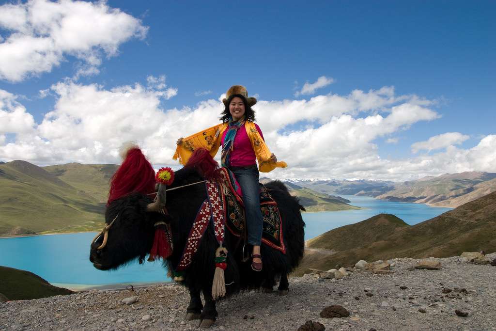 Yak Ride