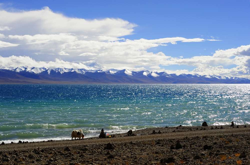 Stroll around Namtso Lake
