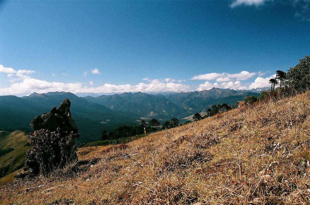 Bumthang Owl Trek