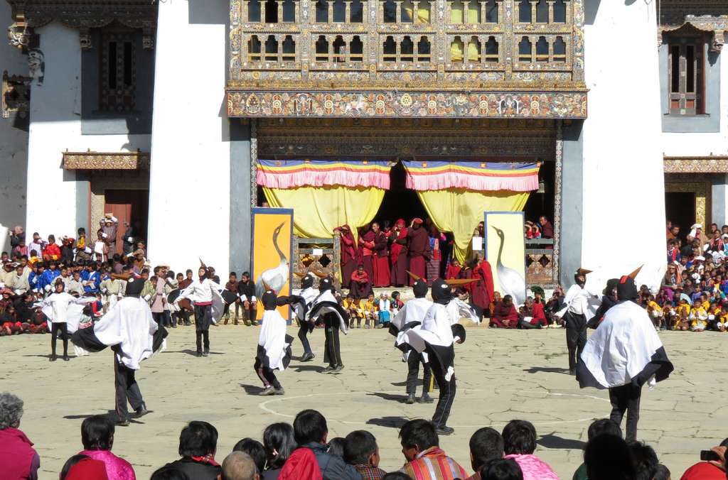 The Annual Black-necked Crane Festival -11th November
