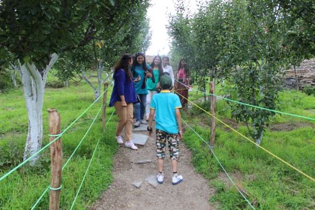 Adventurous Corporate Outing and Camping in Chail