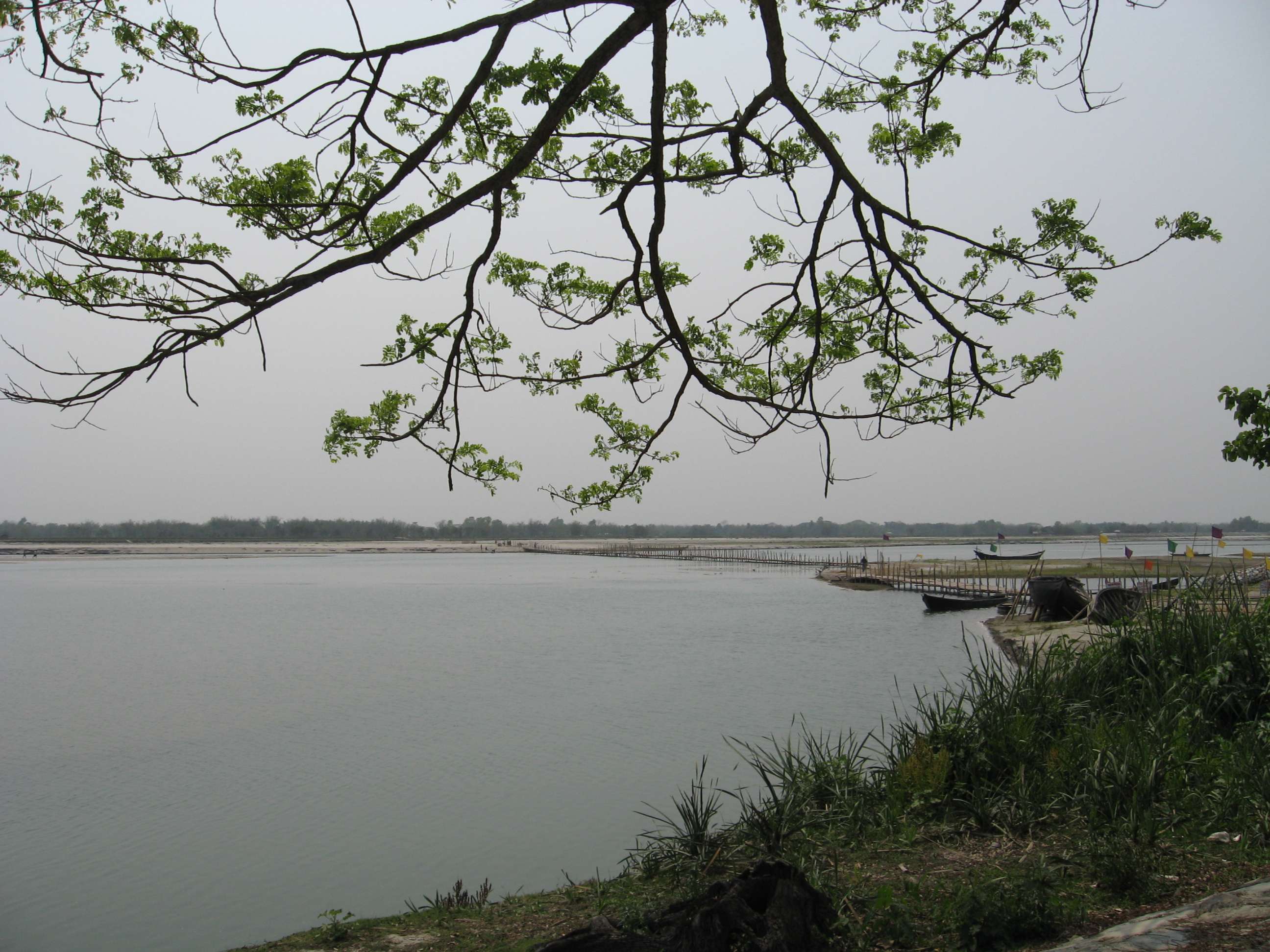 Torsa Strict Nature Reserve