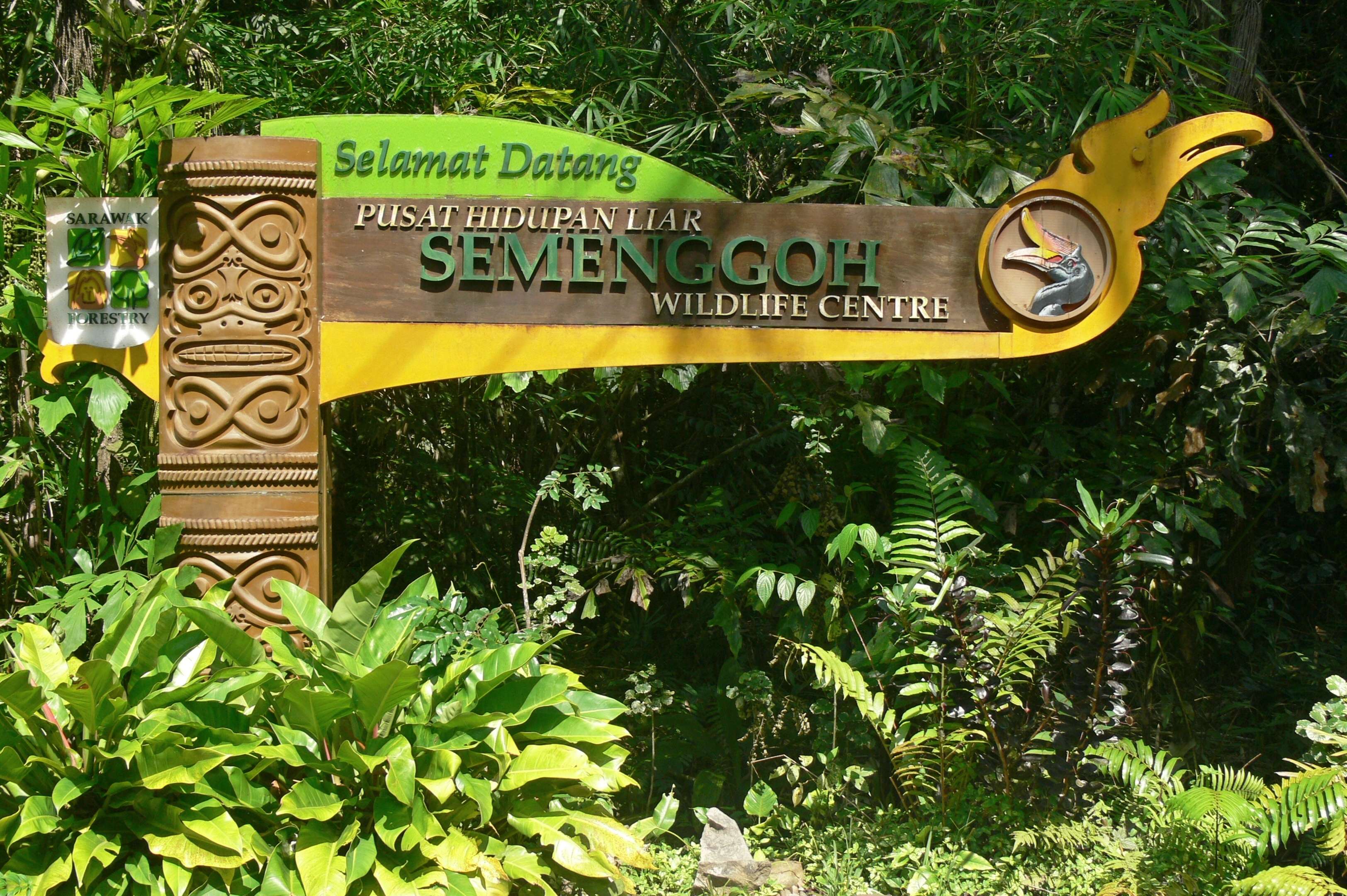 Semenggoh Nature Reserve, Sarawak