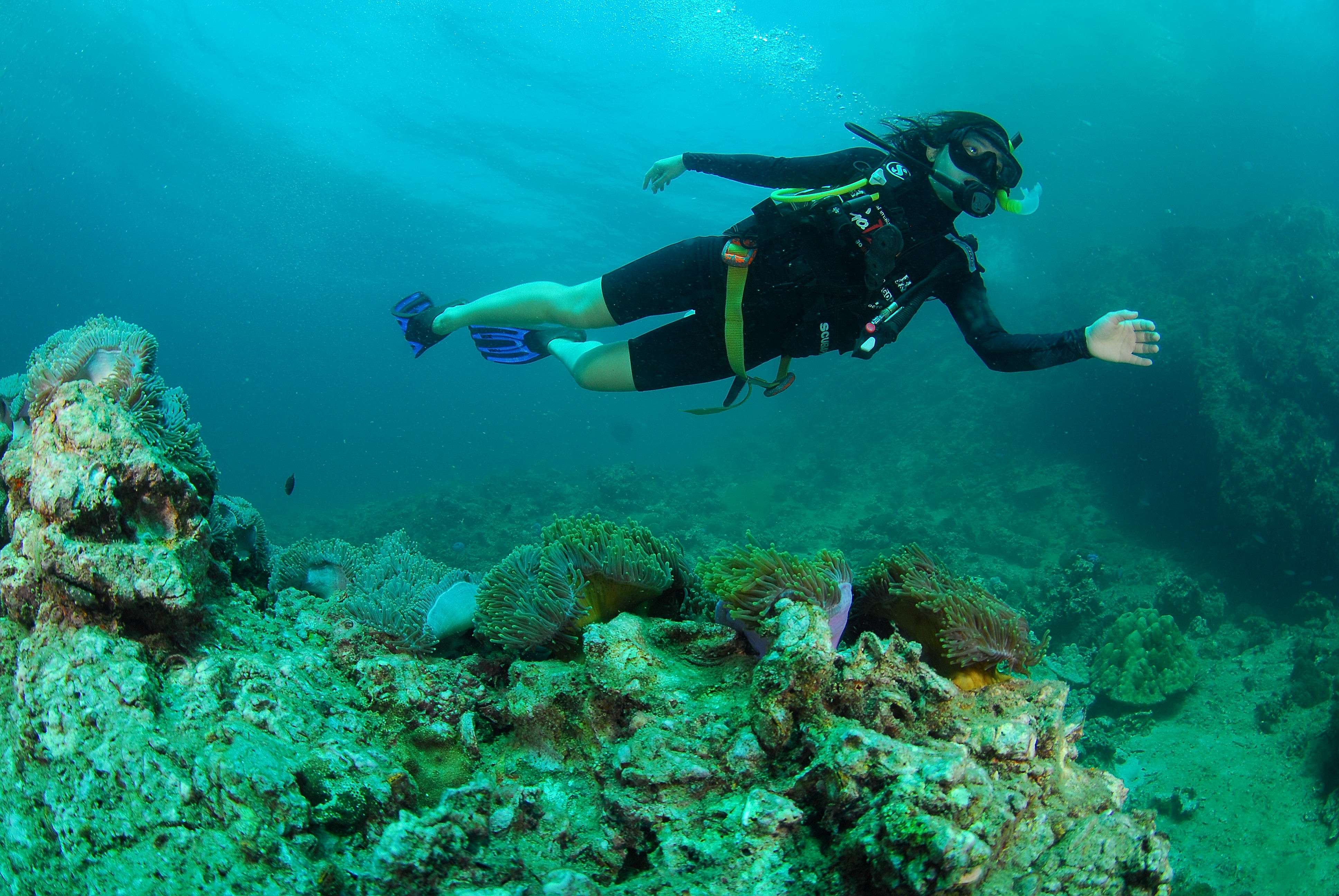 Scuba Diving in Hua Hin