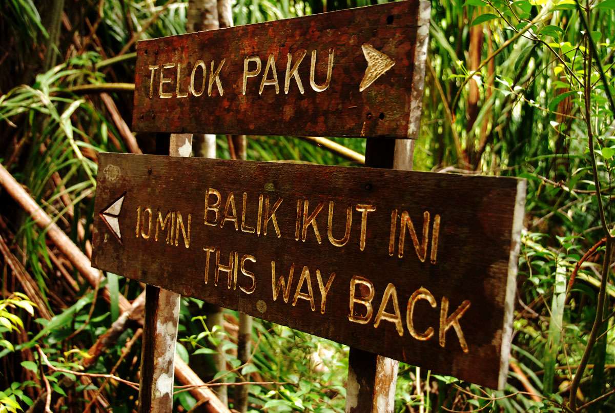 Bako National Park, Kuching
