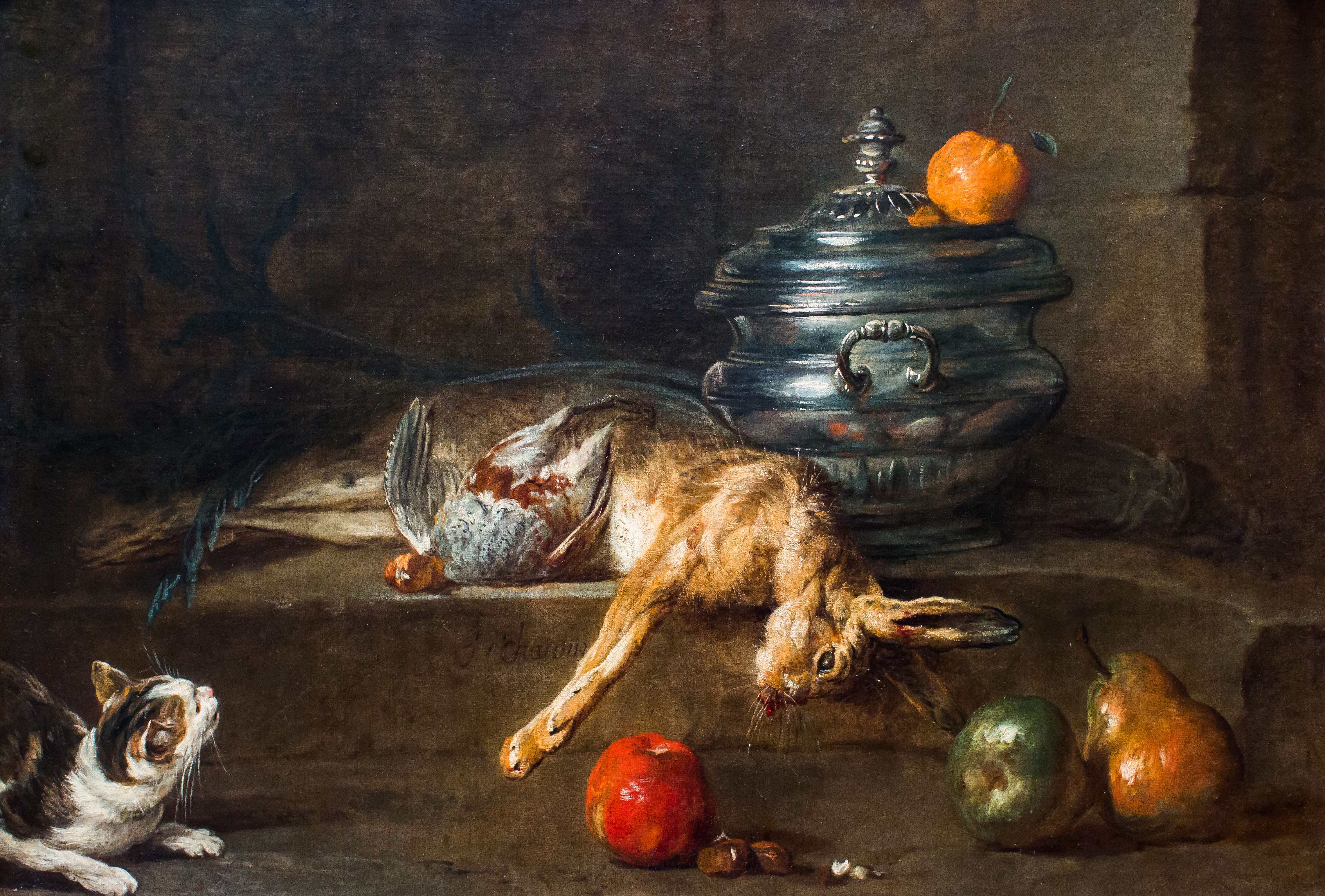 Visit the Cat Museum