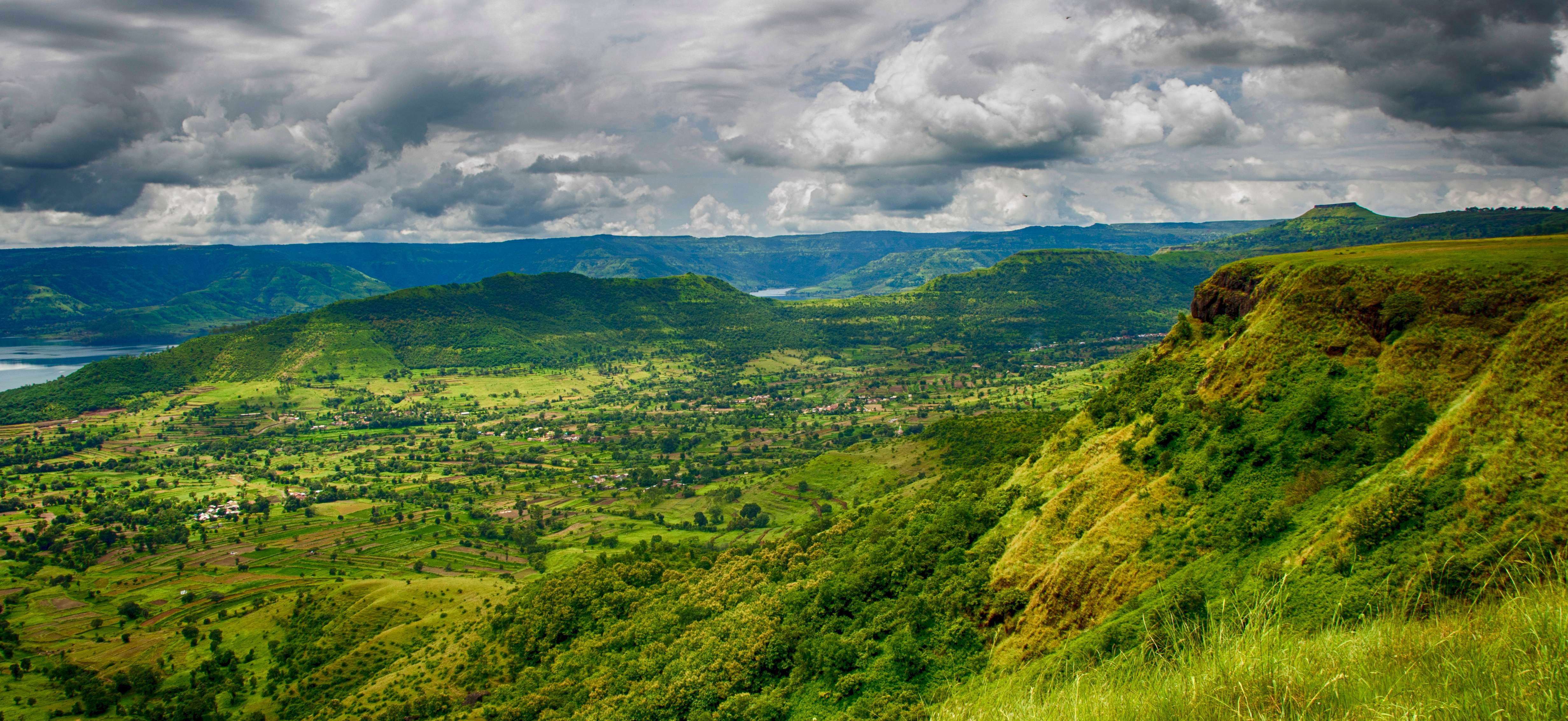 1554297511 shutterstock 1354124699