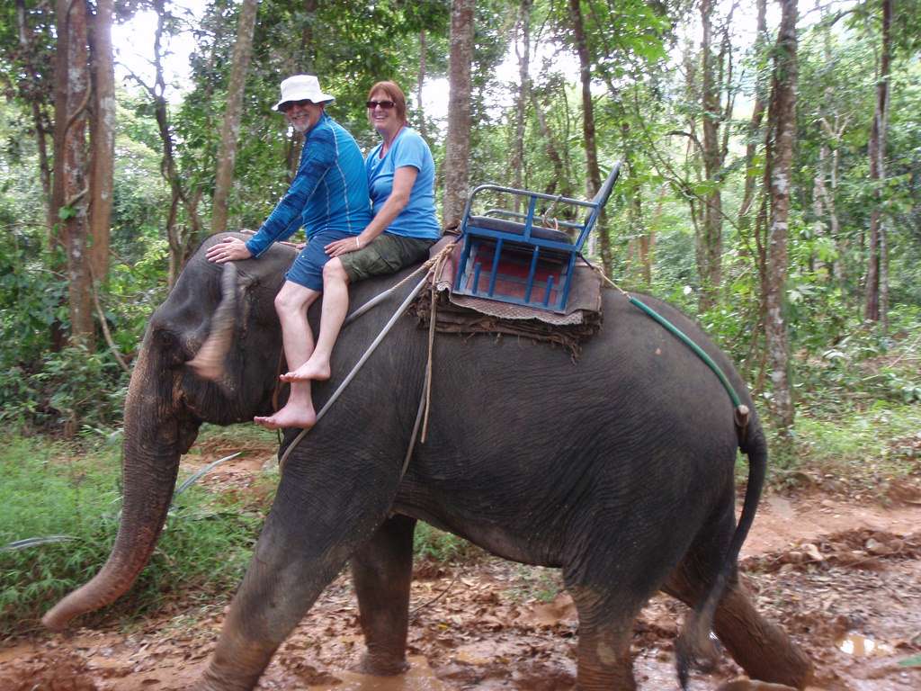Elephant Trekking