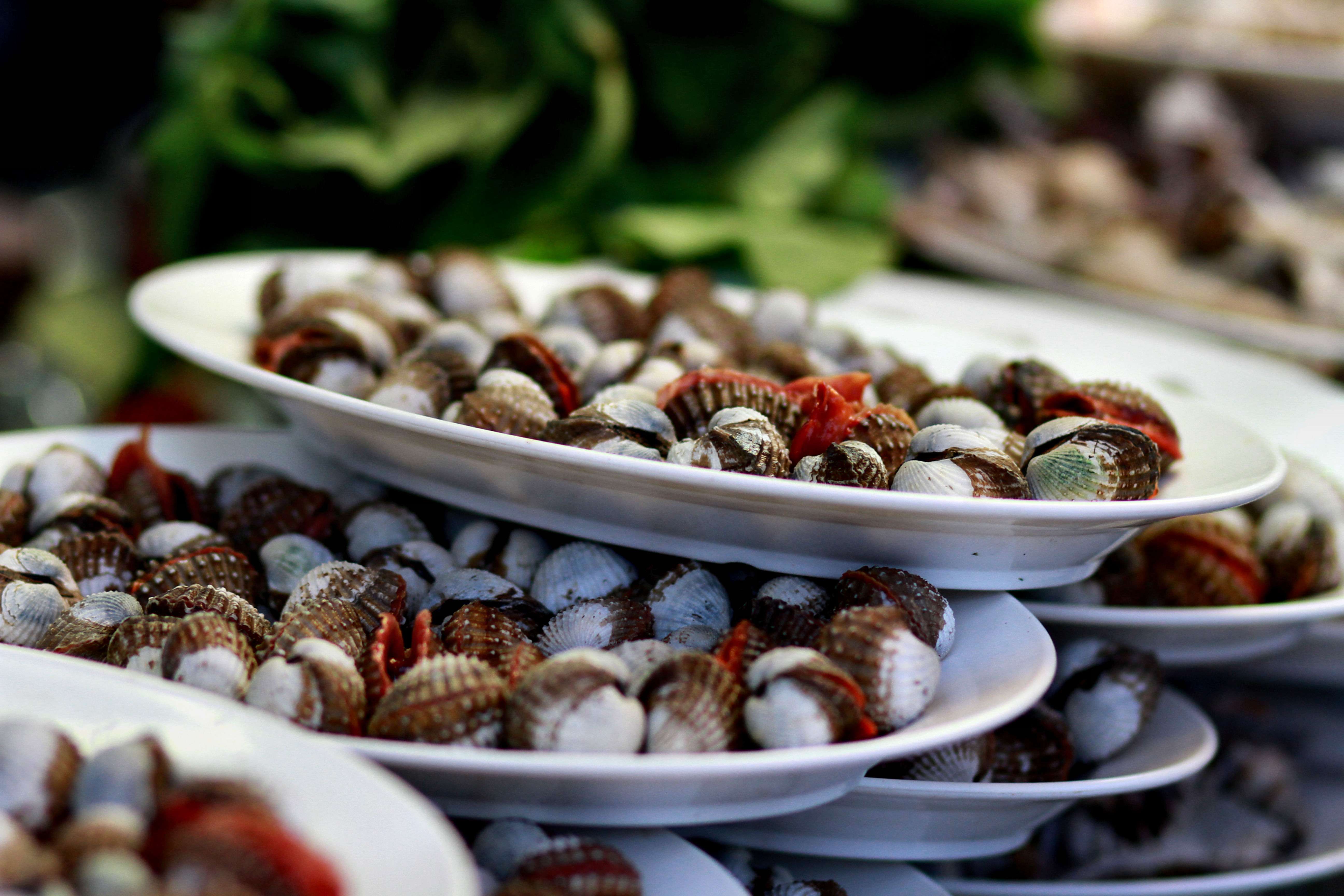 Indulge in Different Cuisines on the Food tour