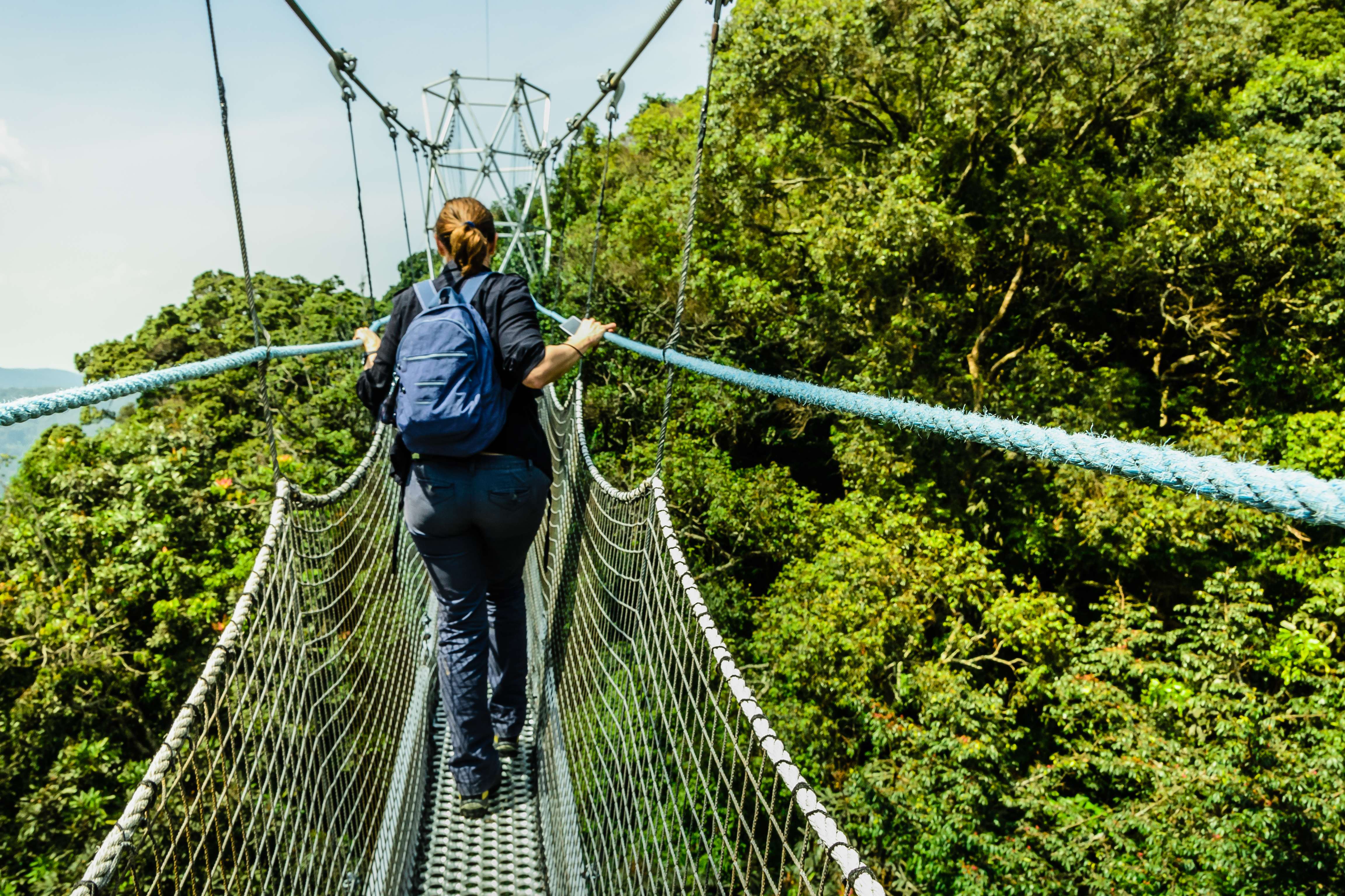 Canopy Walking