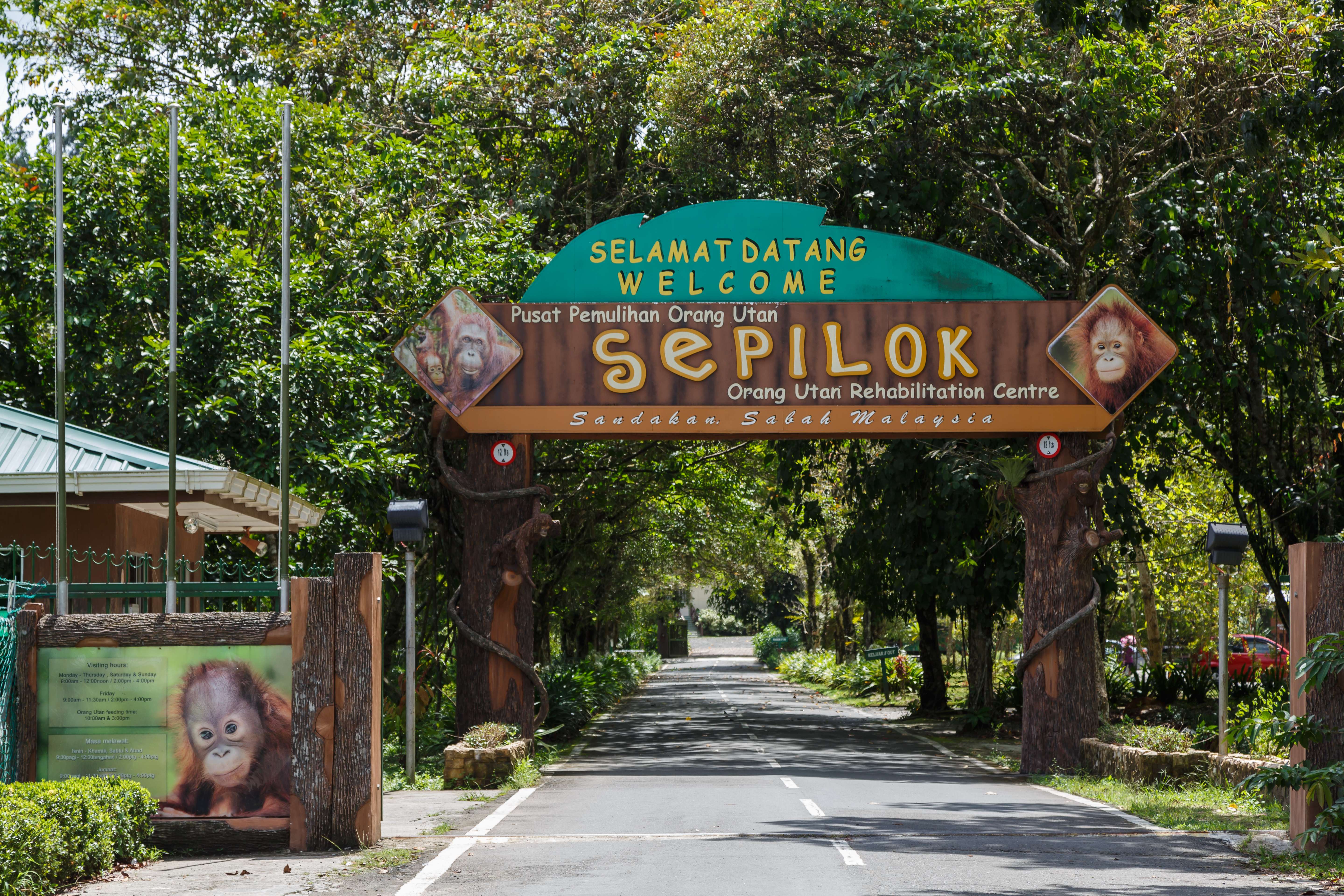 Sepilok Orangutan Rehabilitation Centre