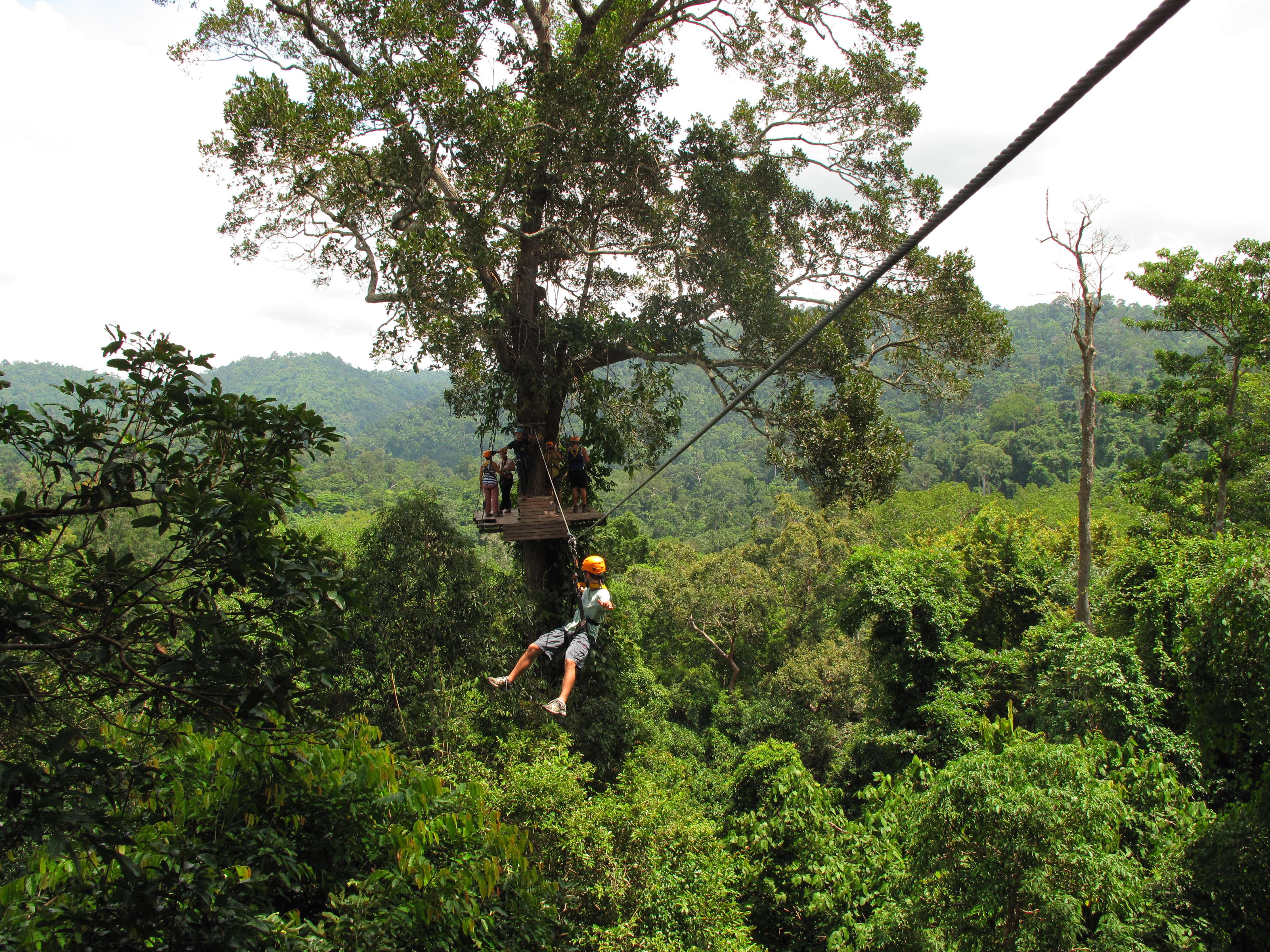 Zip Lining