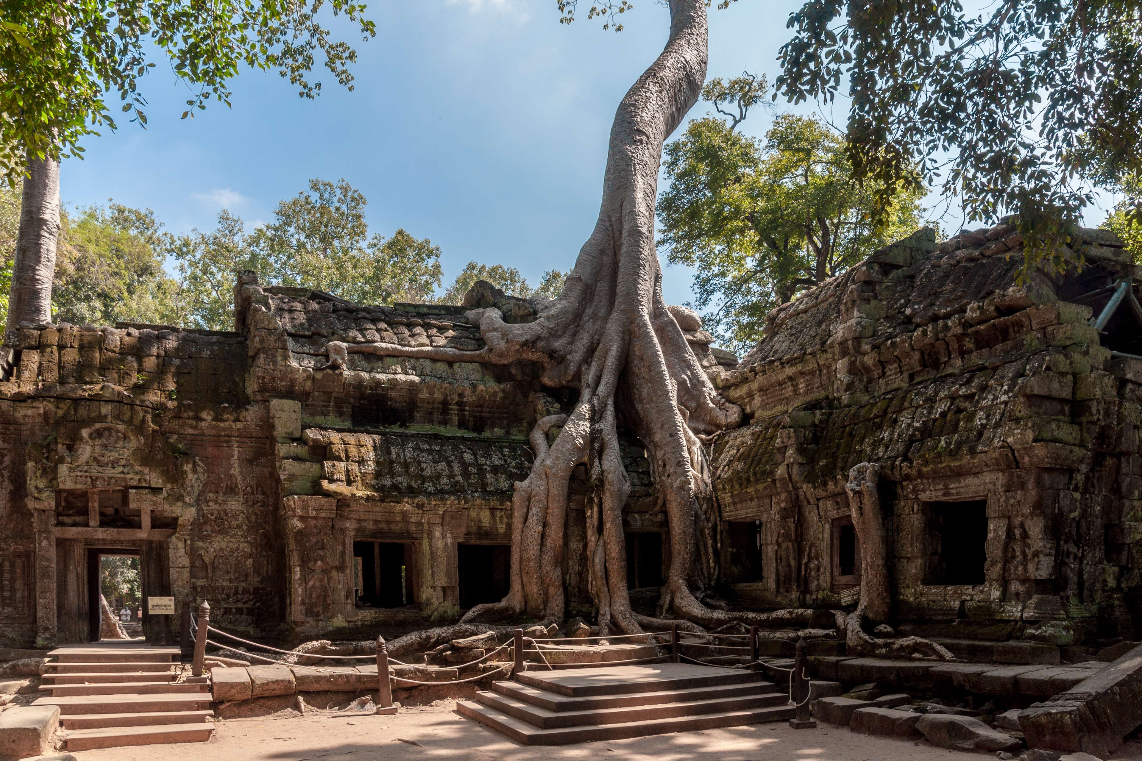 Visit Ta Prohm
