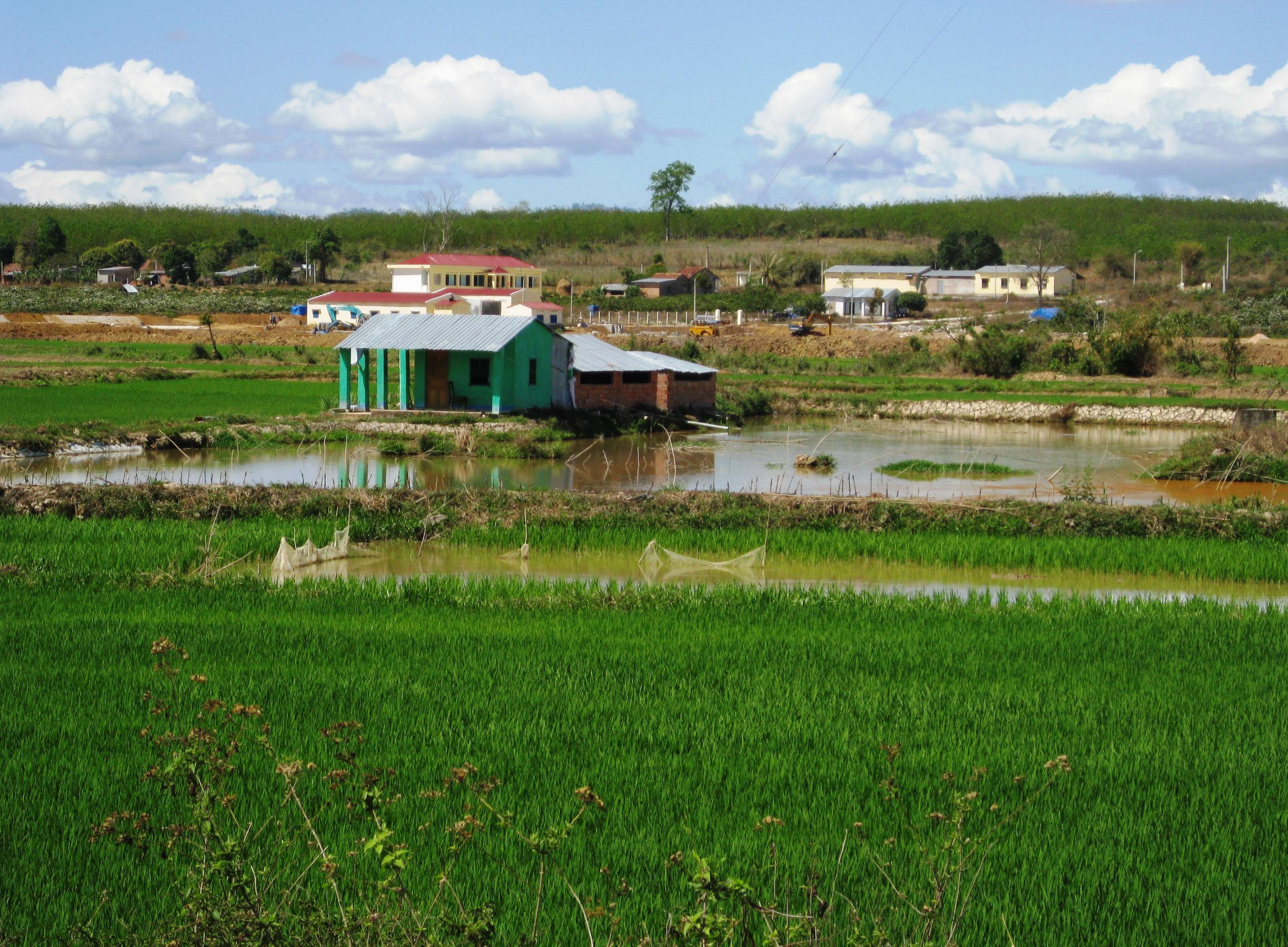 Plough Rice Fields at Living Land Rice Farm