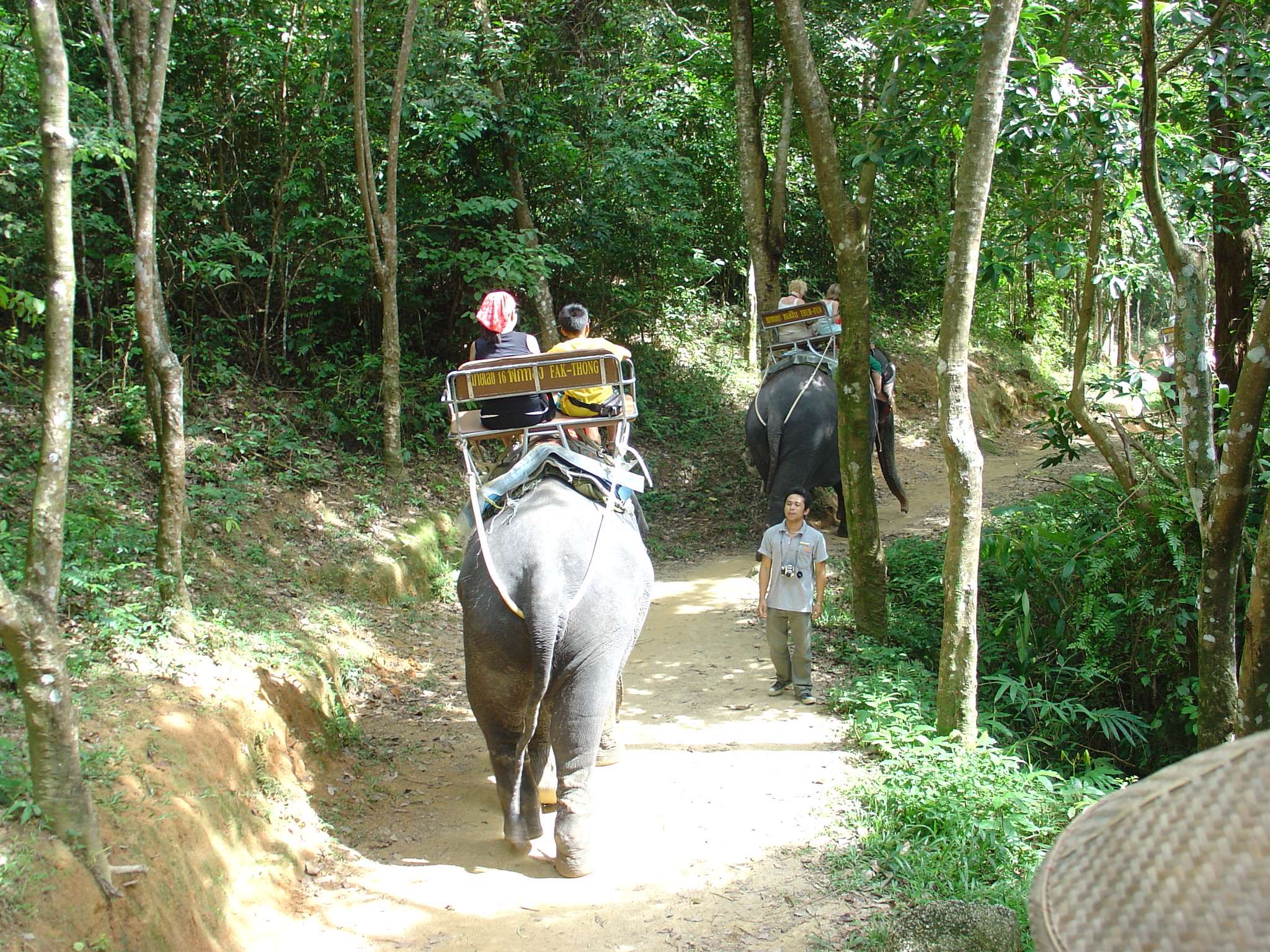 Siam Safari - Chalong