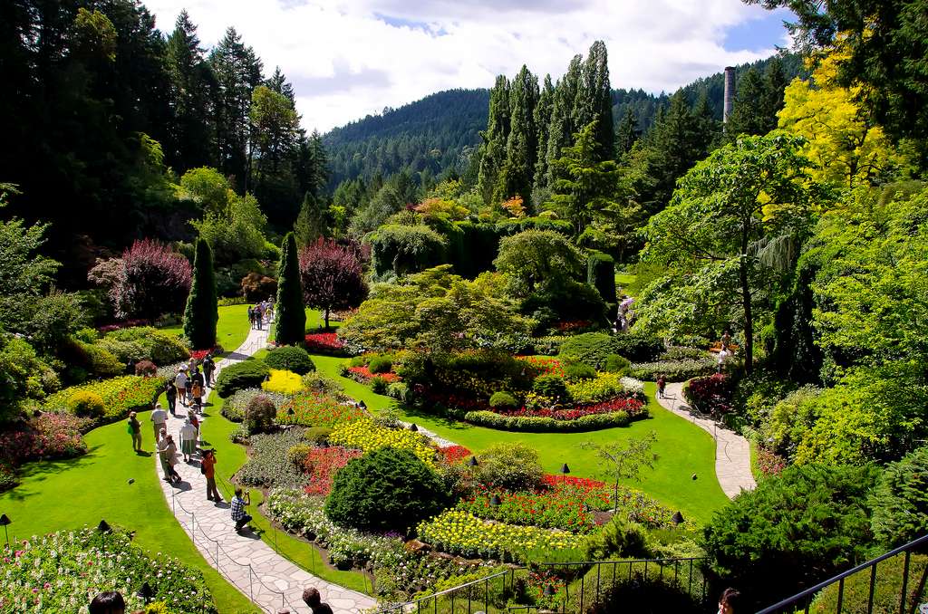 Mandi (443 kms from Delhi)