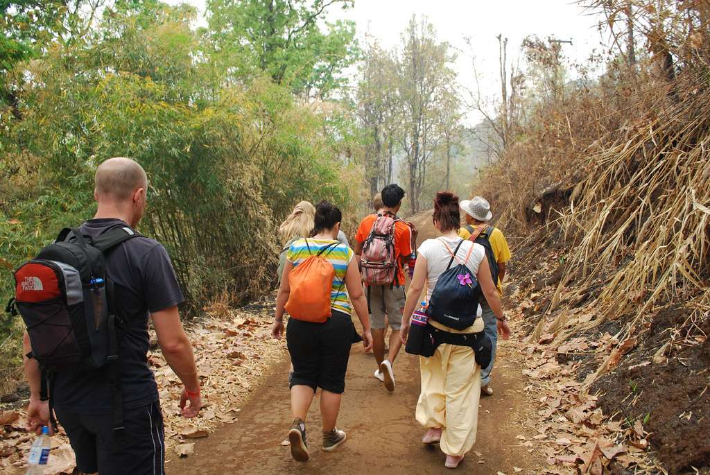Trek to Mountain Doi Inthanon