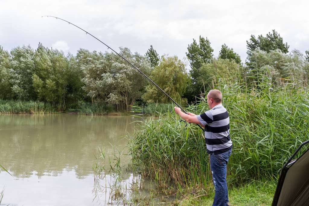 Sport Fishing (Angling)