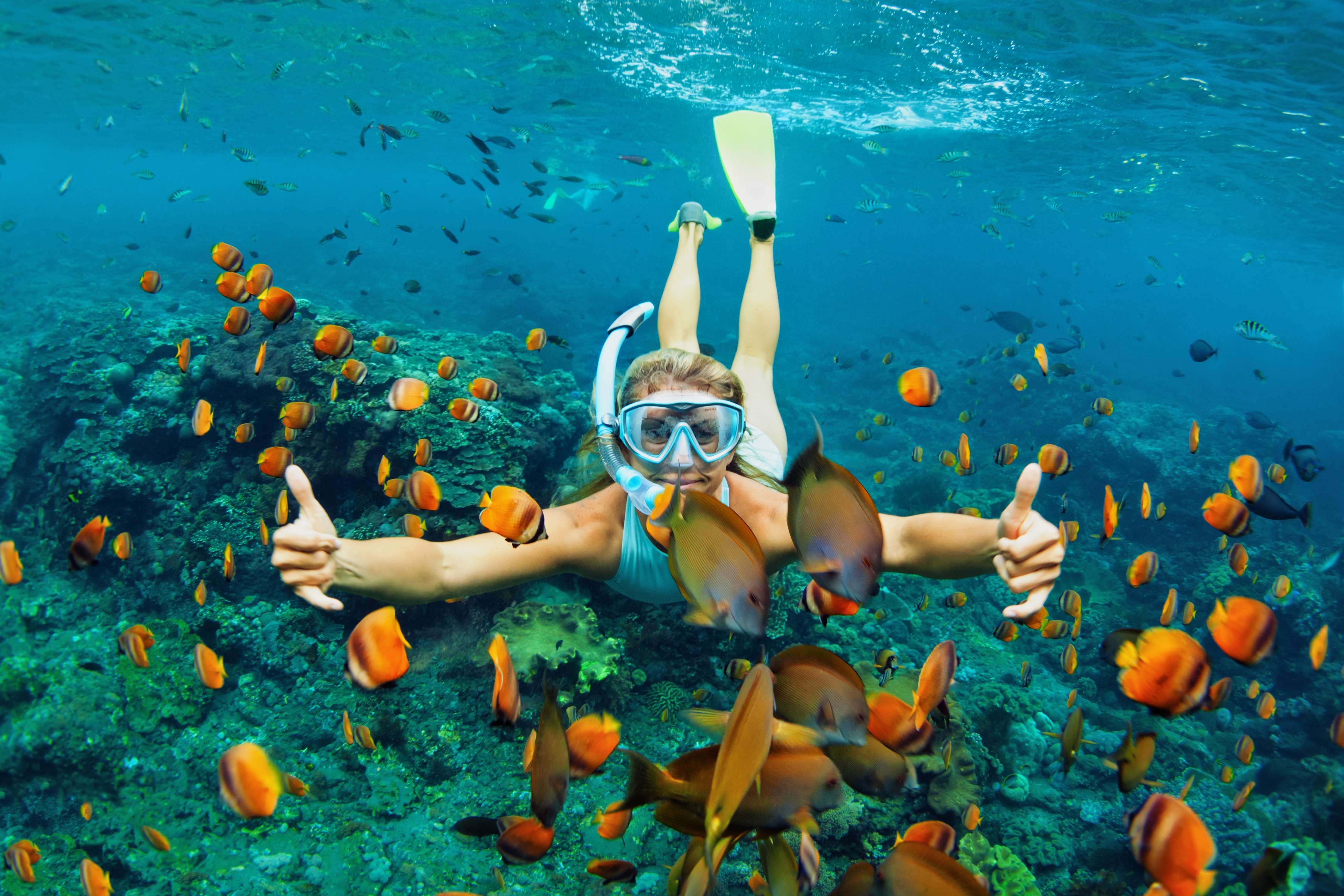 Snorkeling
