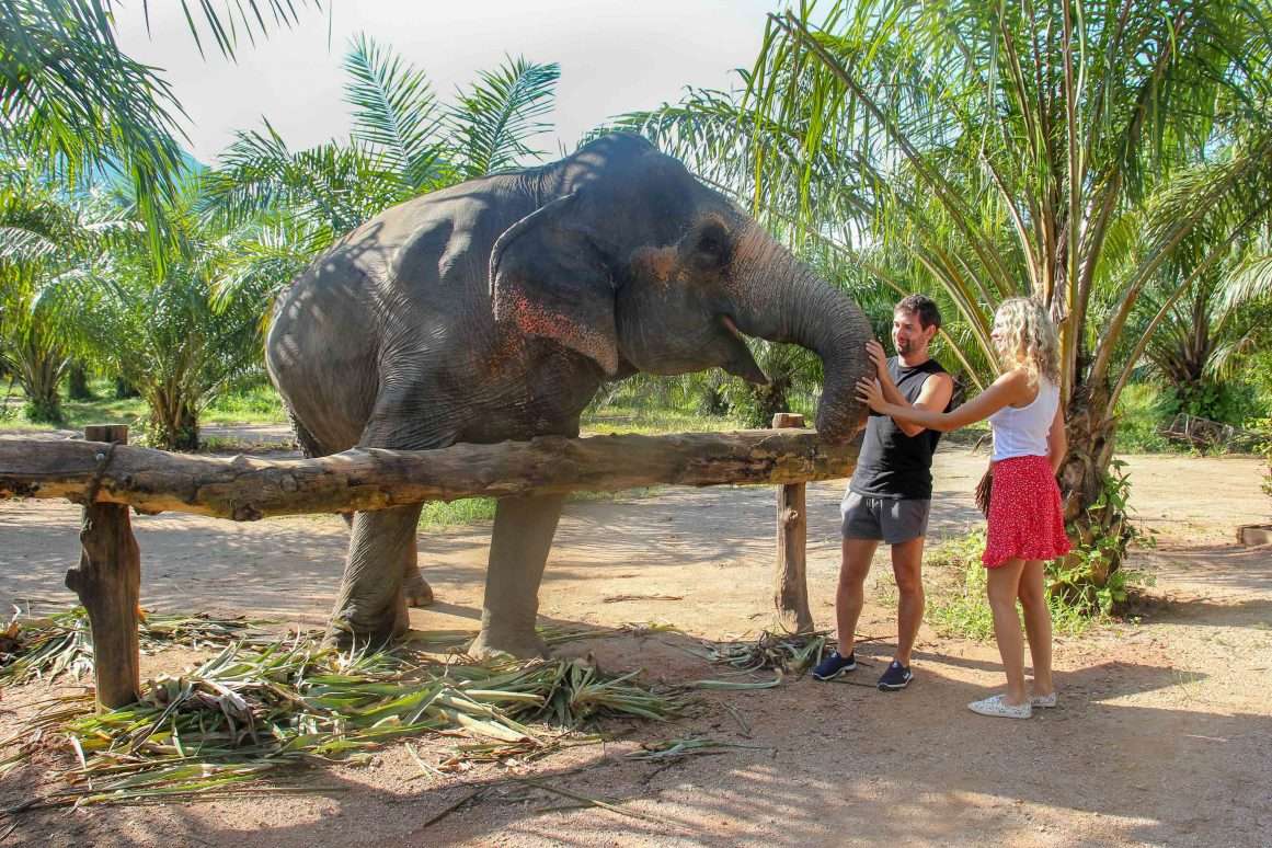 Rantong Save and Rescue Elephant Centre