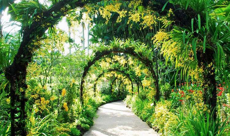Singapore Botanic Gardens