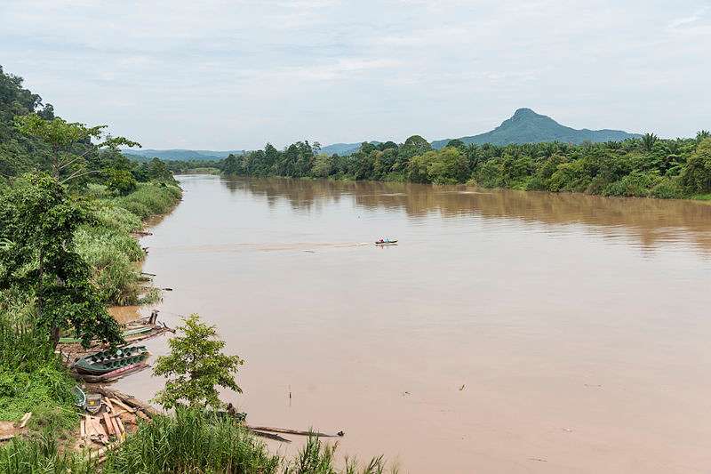 Sungai Kinabatangan, Borneo Island