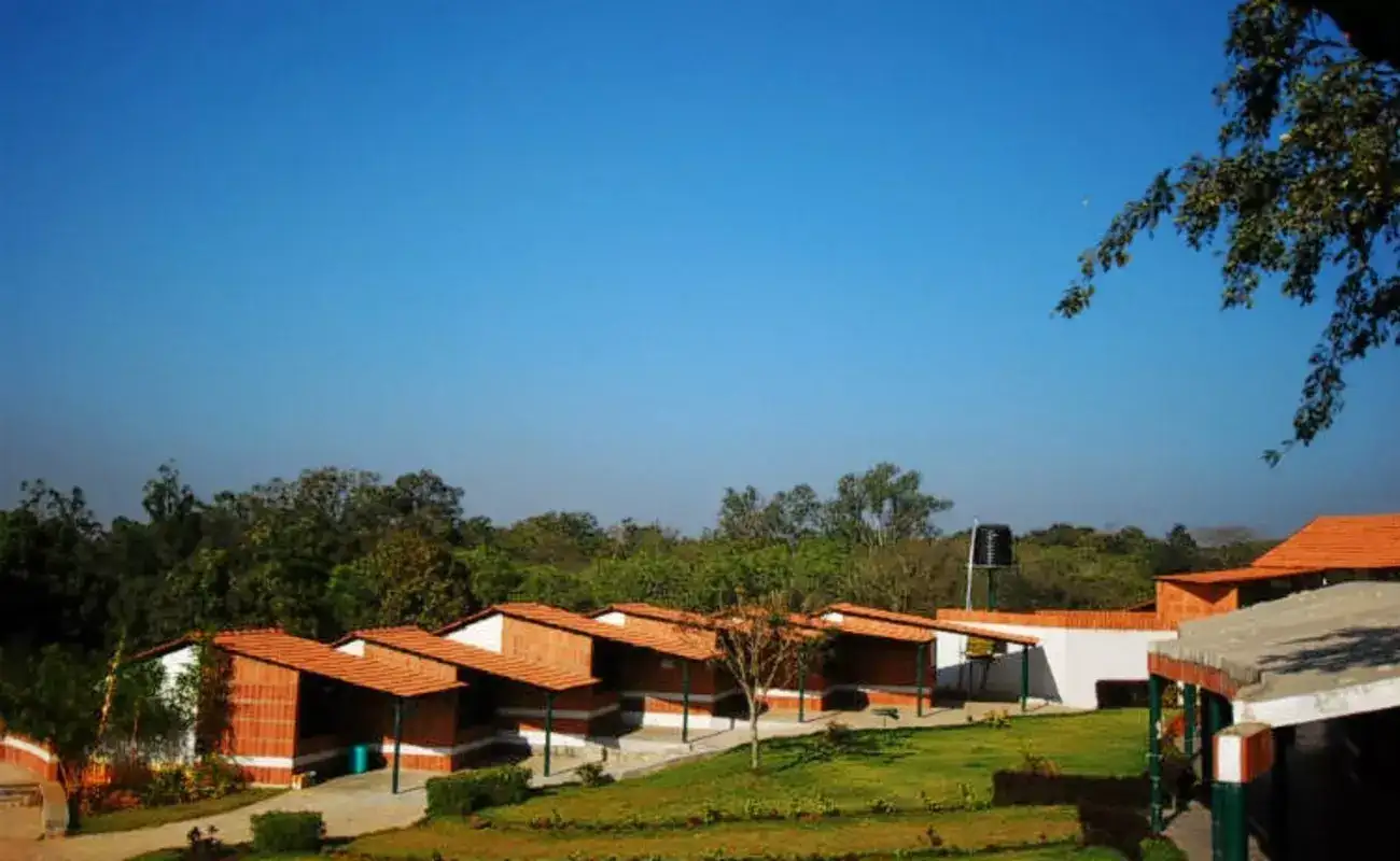 Overnight Stay in Bannerghatta Nature Camp